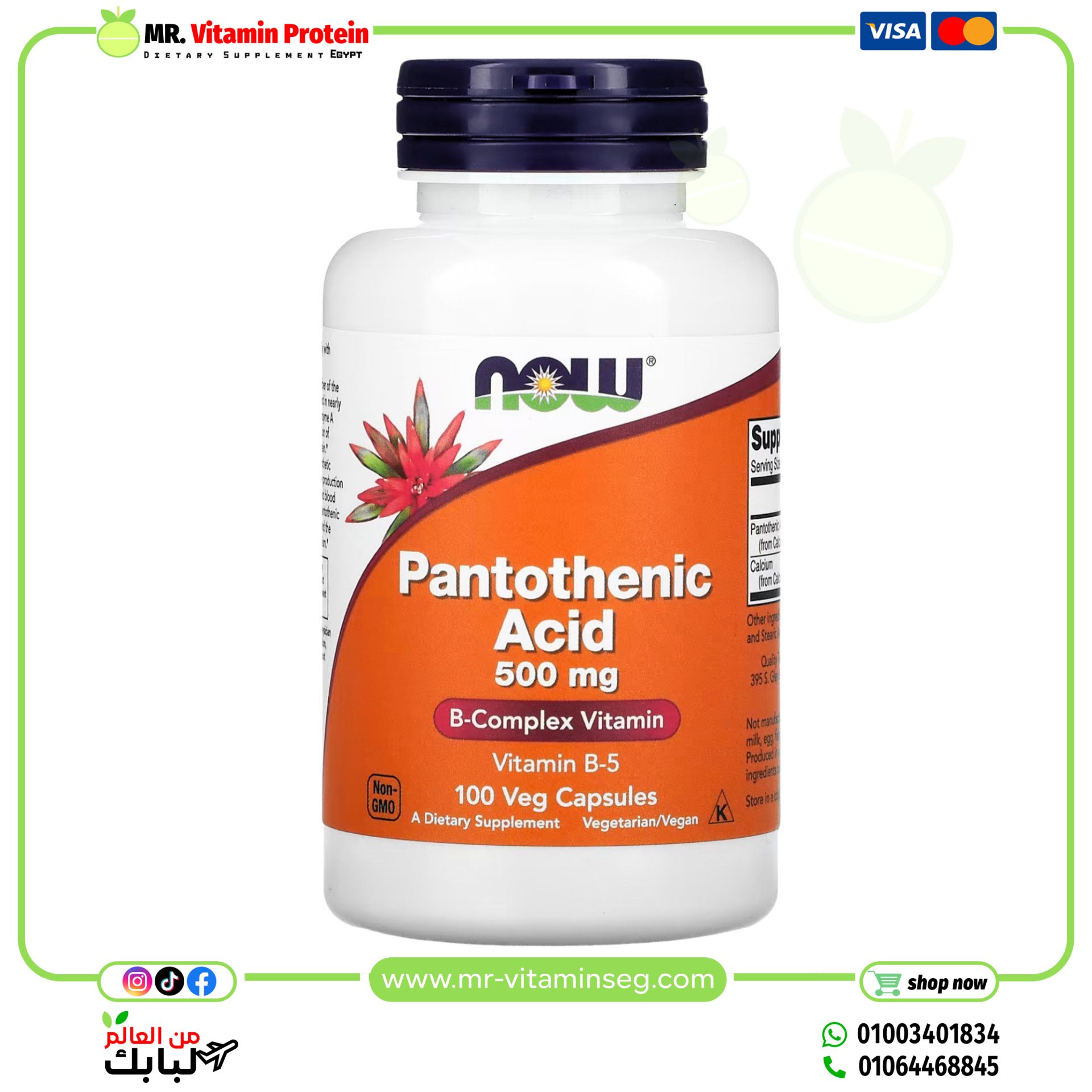 NOW Foods, Pantothenic Acid, 500 mg, 100 Veg Capsules