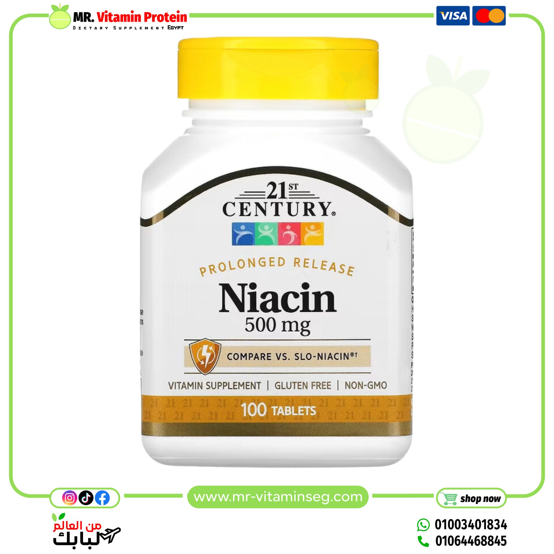 21st Century, Niacin, Prolonged Release, 500 mg, 100 Tablets