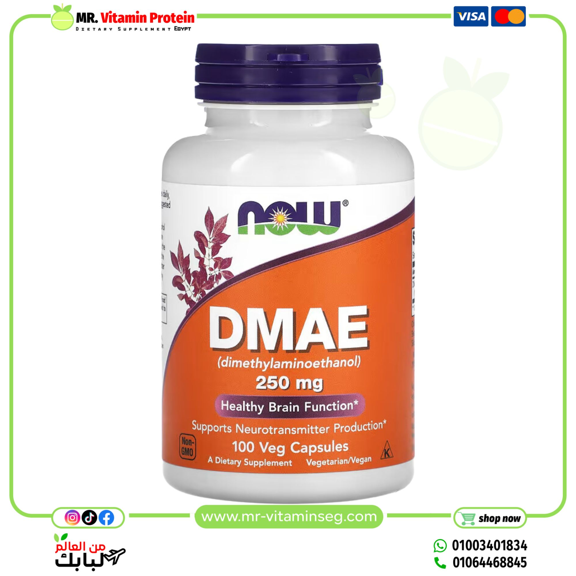 NOW Foods, DMAE, 250 mg, 100 Veg Capsules