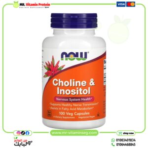 NOW Foods, Choline & Inositol, 100 Veg Capsules