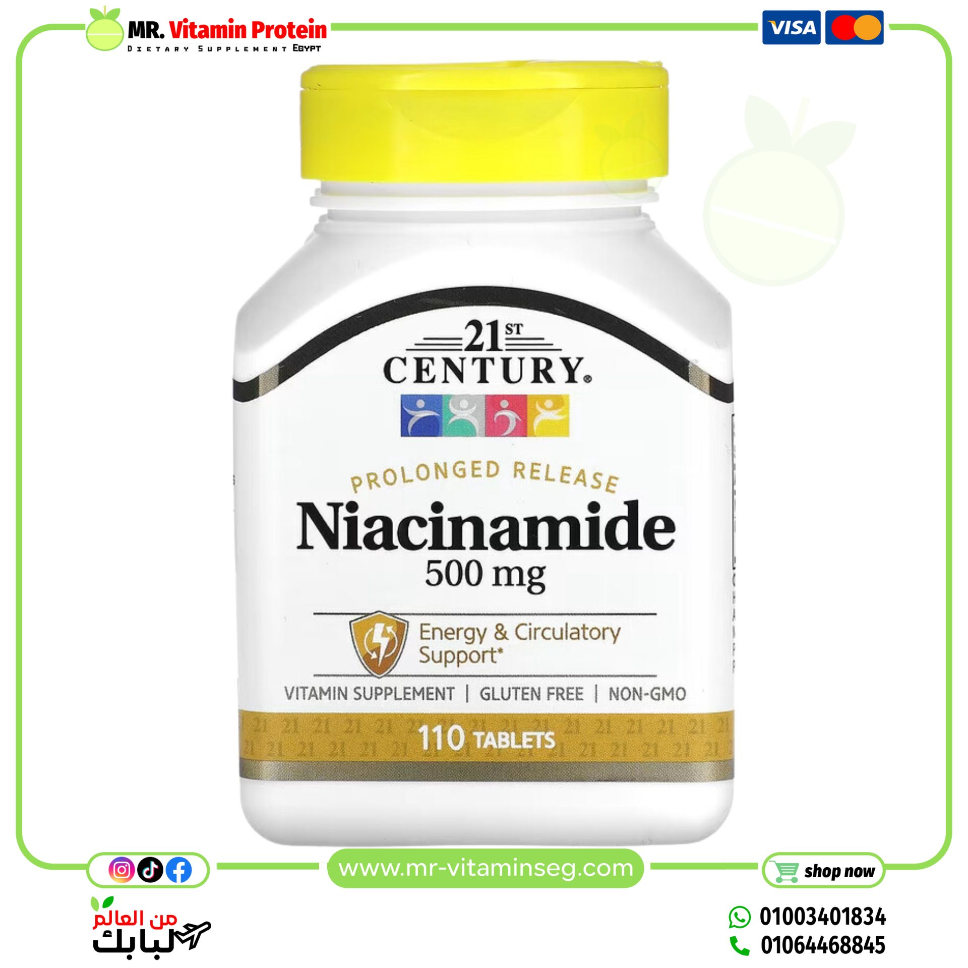 21st Century, Prolonged Release Niacinamide, 500 mg, 110 Tablets