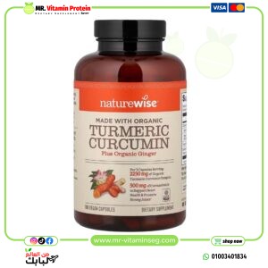 ناتشروايز, كركمين الكركم العضوي، 180 كبسولة نباتية /NatureWise, Organic Turmeric Curcumin, 180 Vegan Capsules