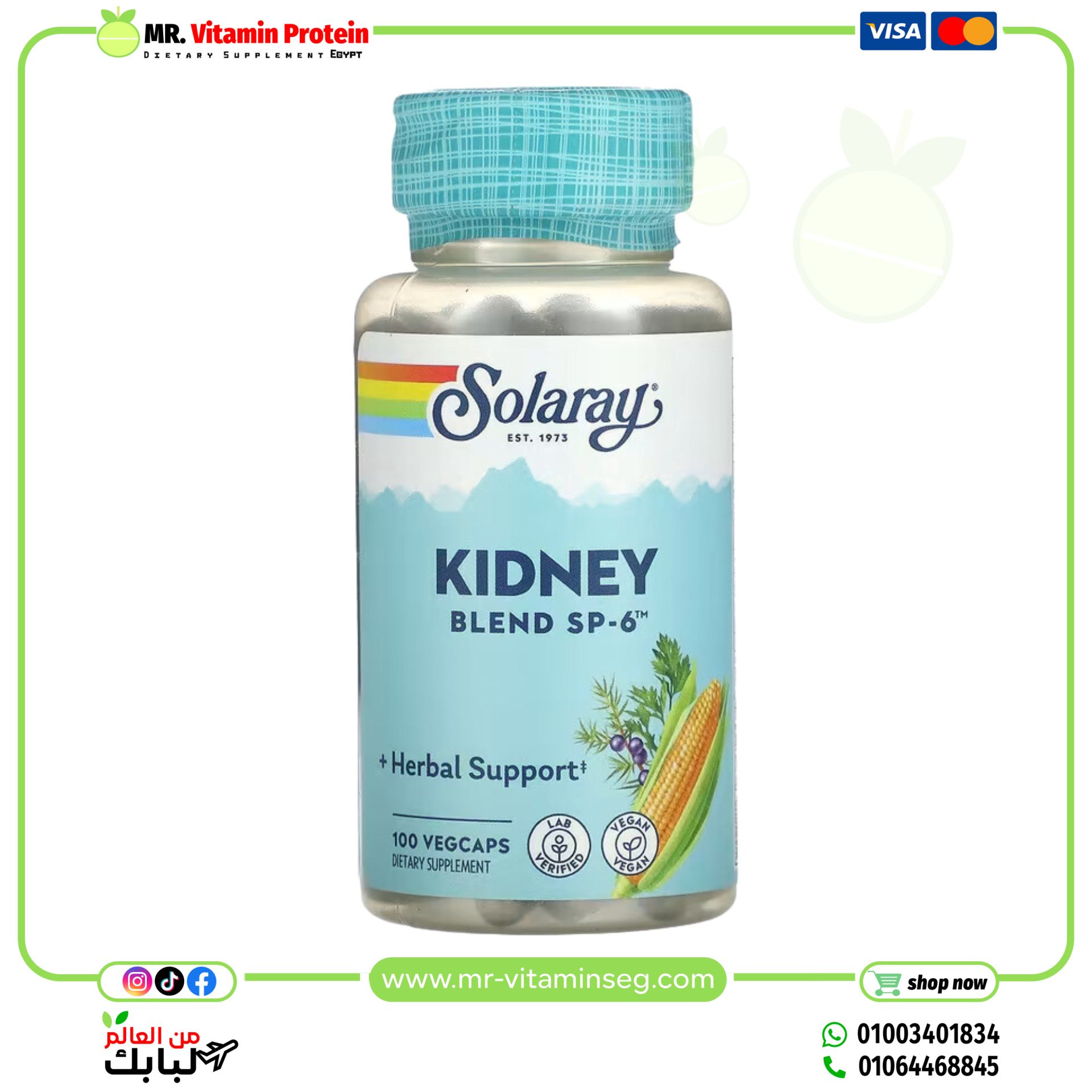 Solaray, Kidney Blend SP-6, 100 VegCaps
