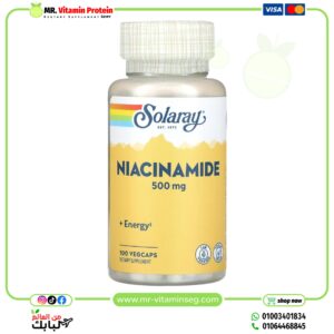 Solaray, Niacinamide, 500 mg, 100 VegCaps
