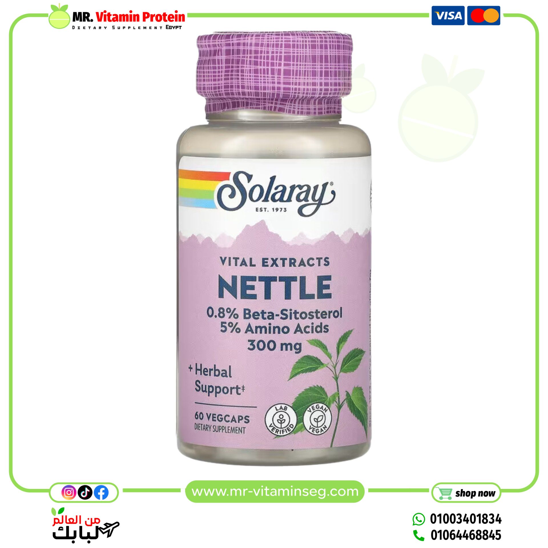 Solaray, Nettle, Vital Extracts, 300 mg, 60 VegCaps