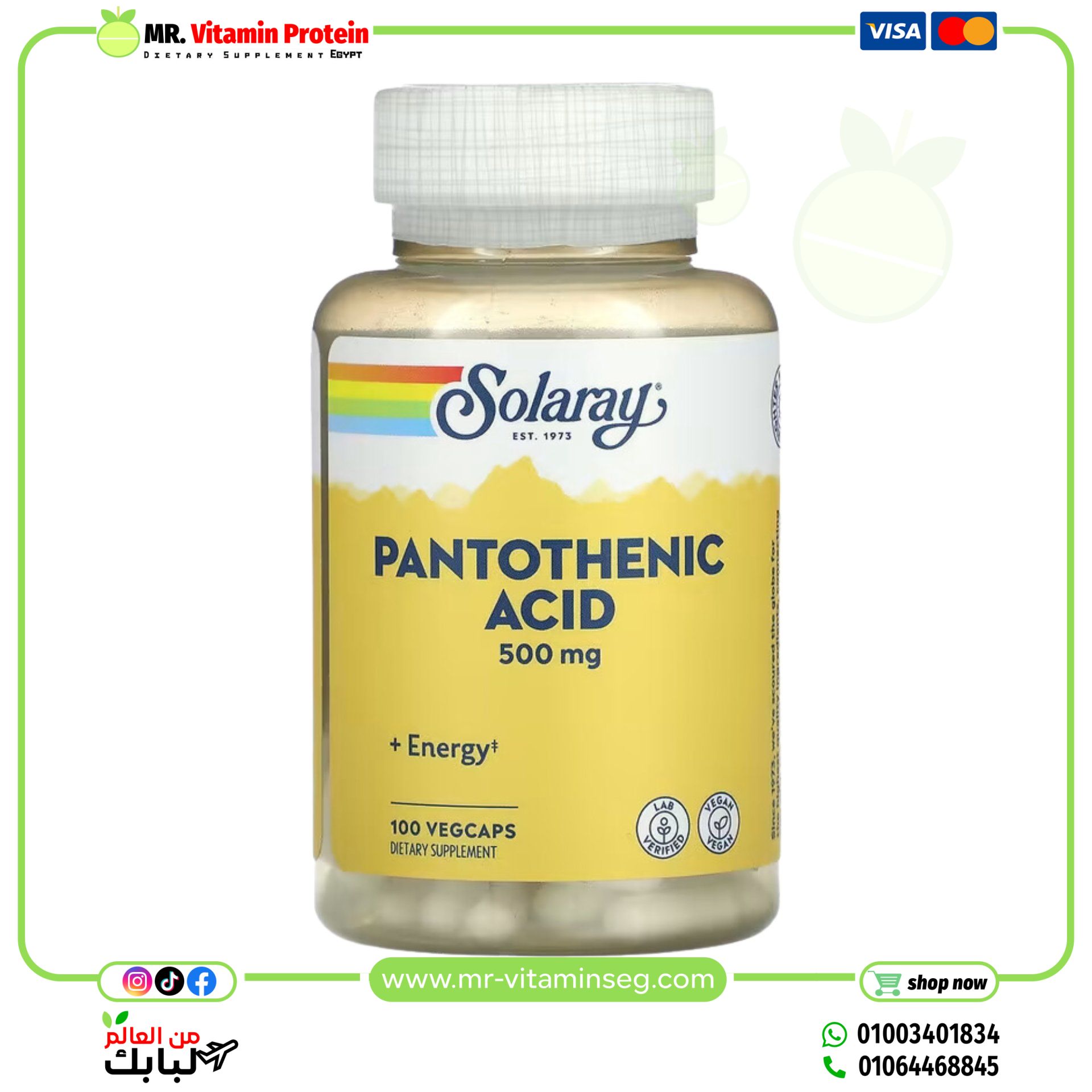 Solaray, Pantothenic Acid, 500 mg, 100 VegCaps