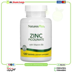 NaturesPlus, Zinc Picolinate with Vitamin B6, 120 Tablets