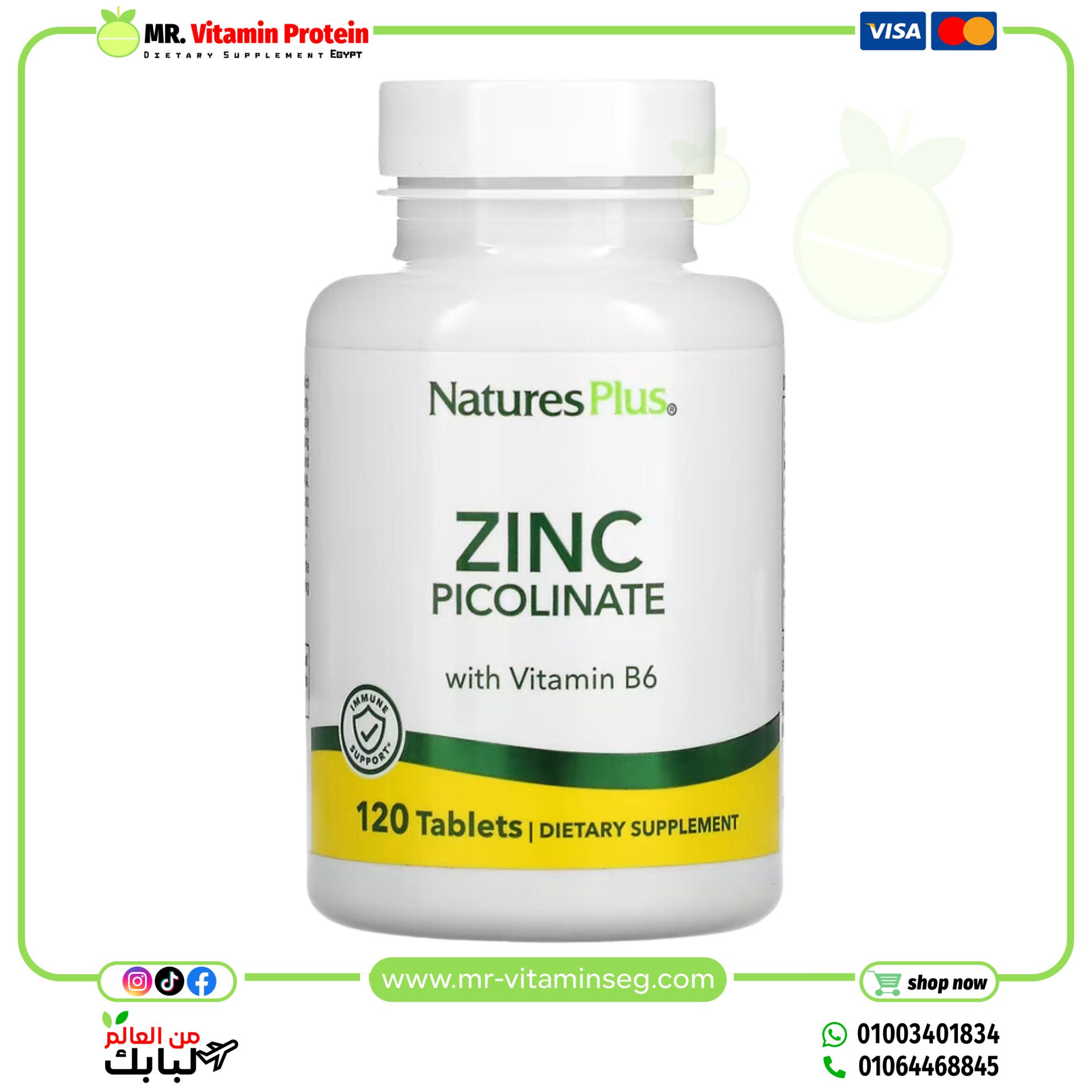 NaturesPlus, Zinc Picolinate with Vitamin B6, 120 Tablets