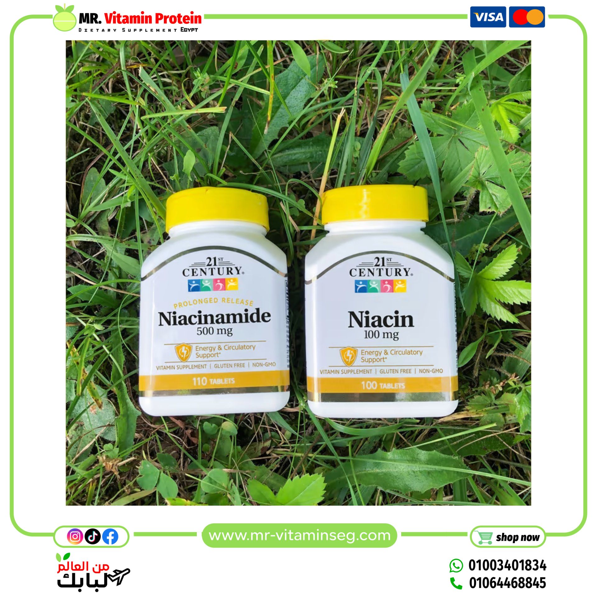 21st Century, Prolonged Release Niacinamide, 500 mg, 110 Tablets - Image 3