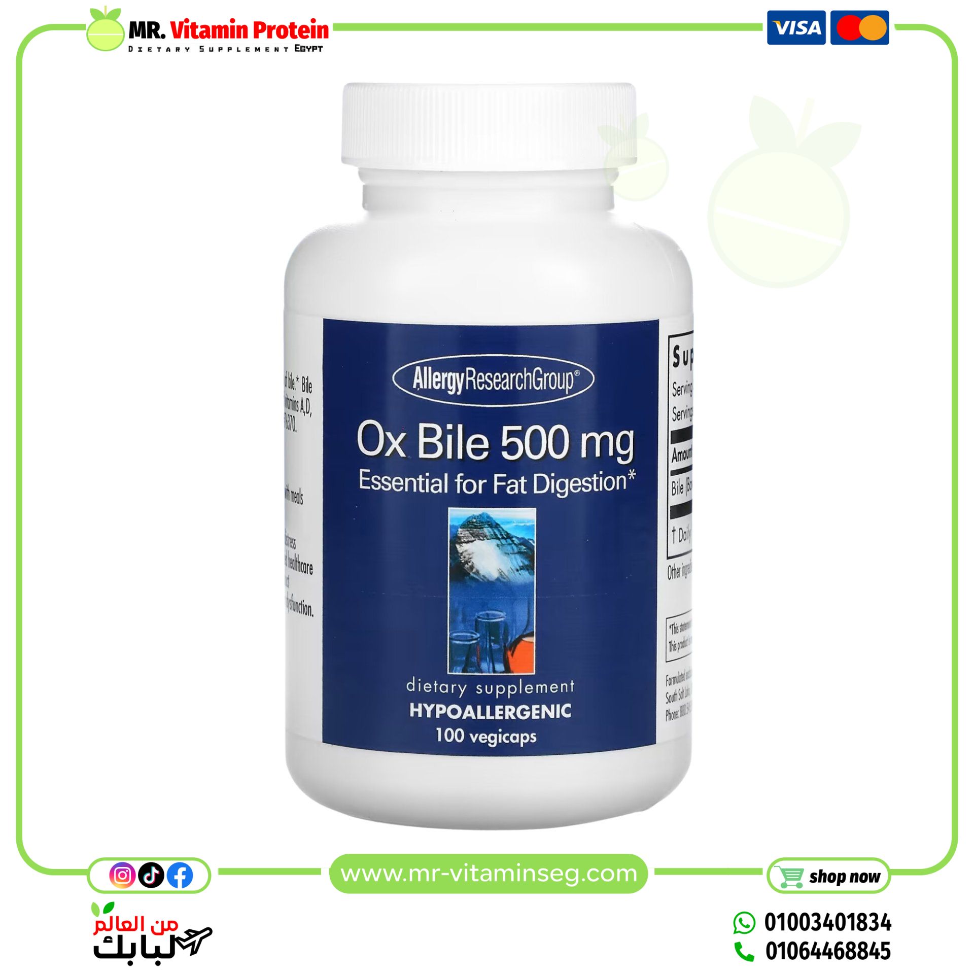 Allergy Research Group, Ox Bile, 500 mg, 100 Vegicaps