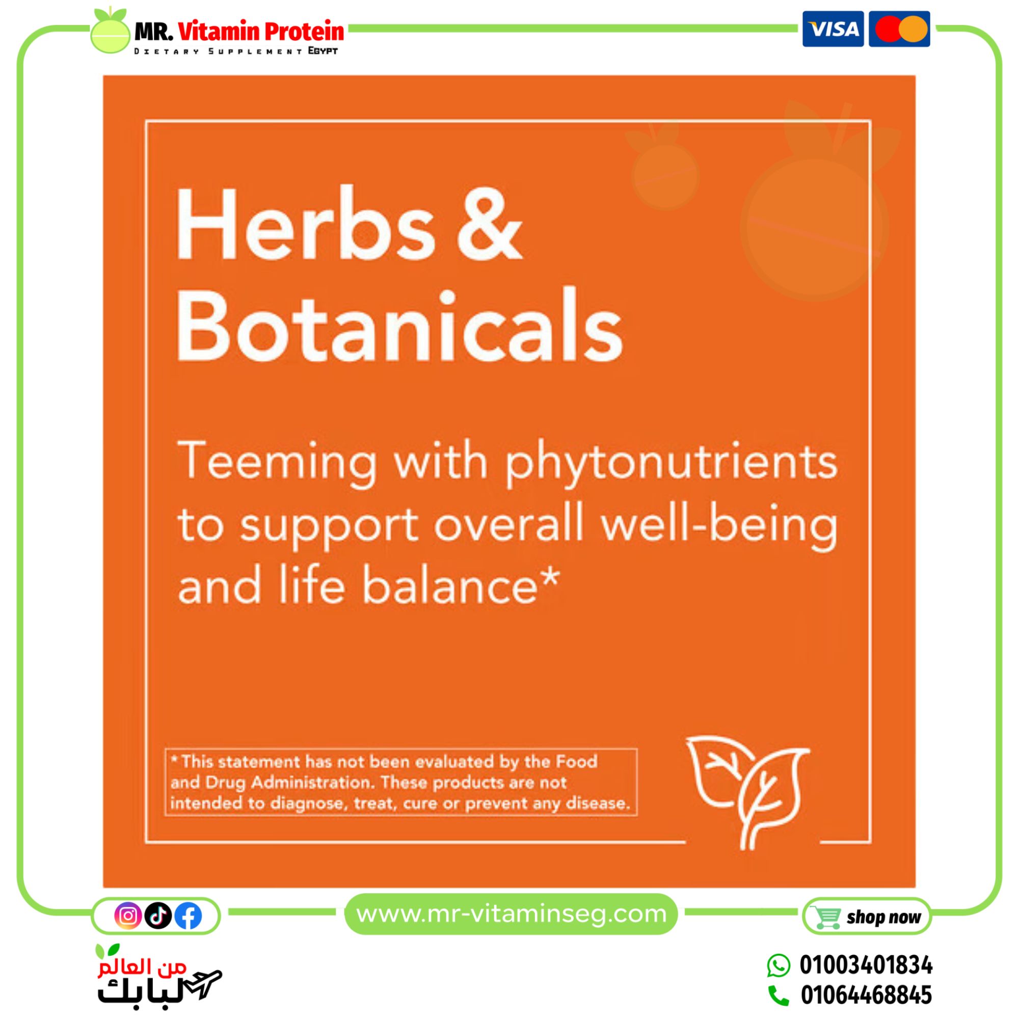 NOW Foods, St. John's Wort, 300 mg, 250 Veg Capsules - Image 3