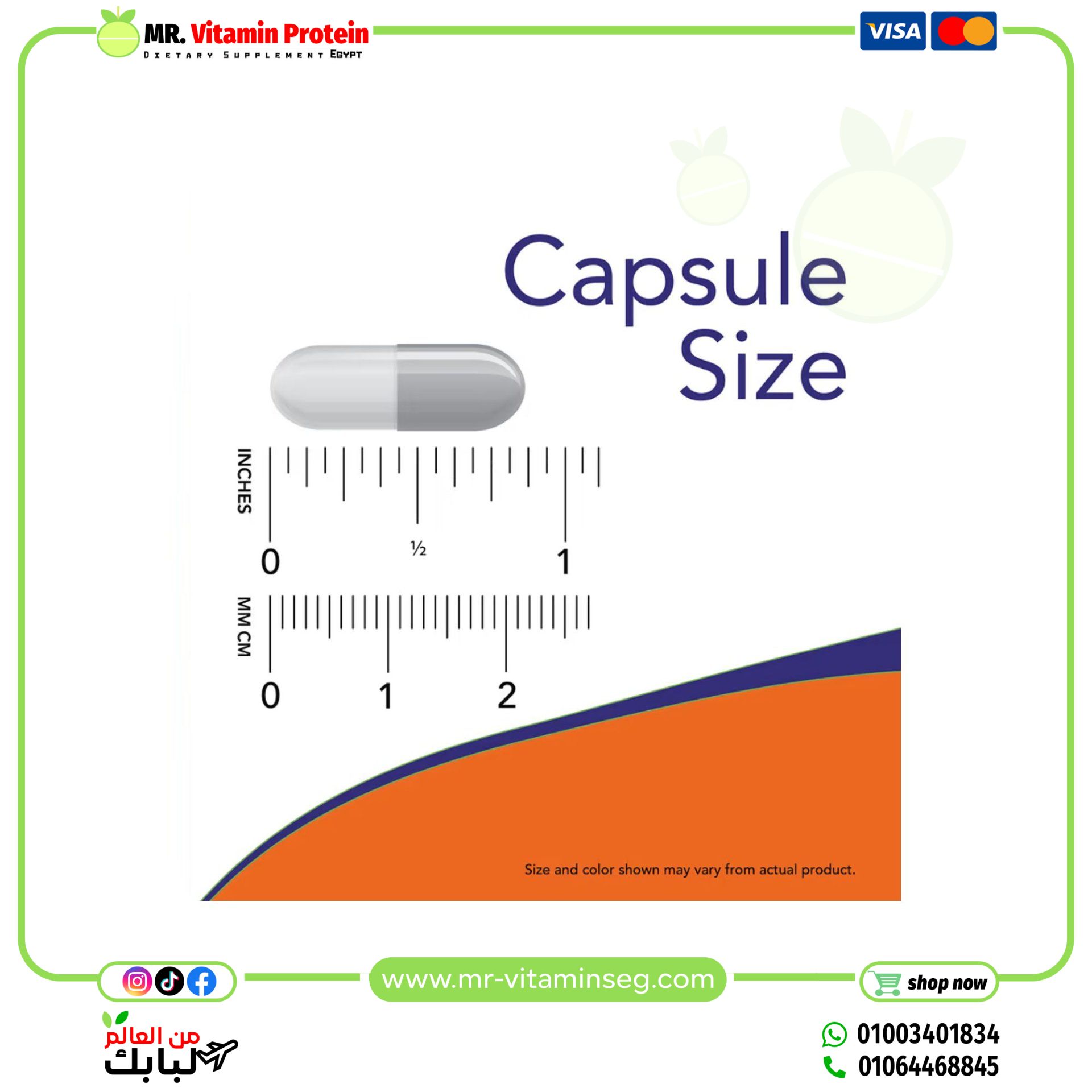 NOW Foods, Milk Thistle Extract, Double Strength, 300 mg, 100 Veg Capsules - Image 3