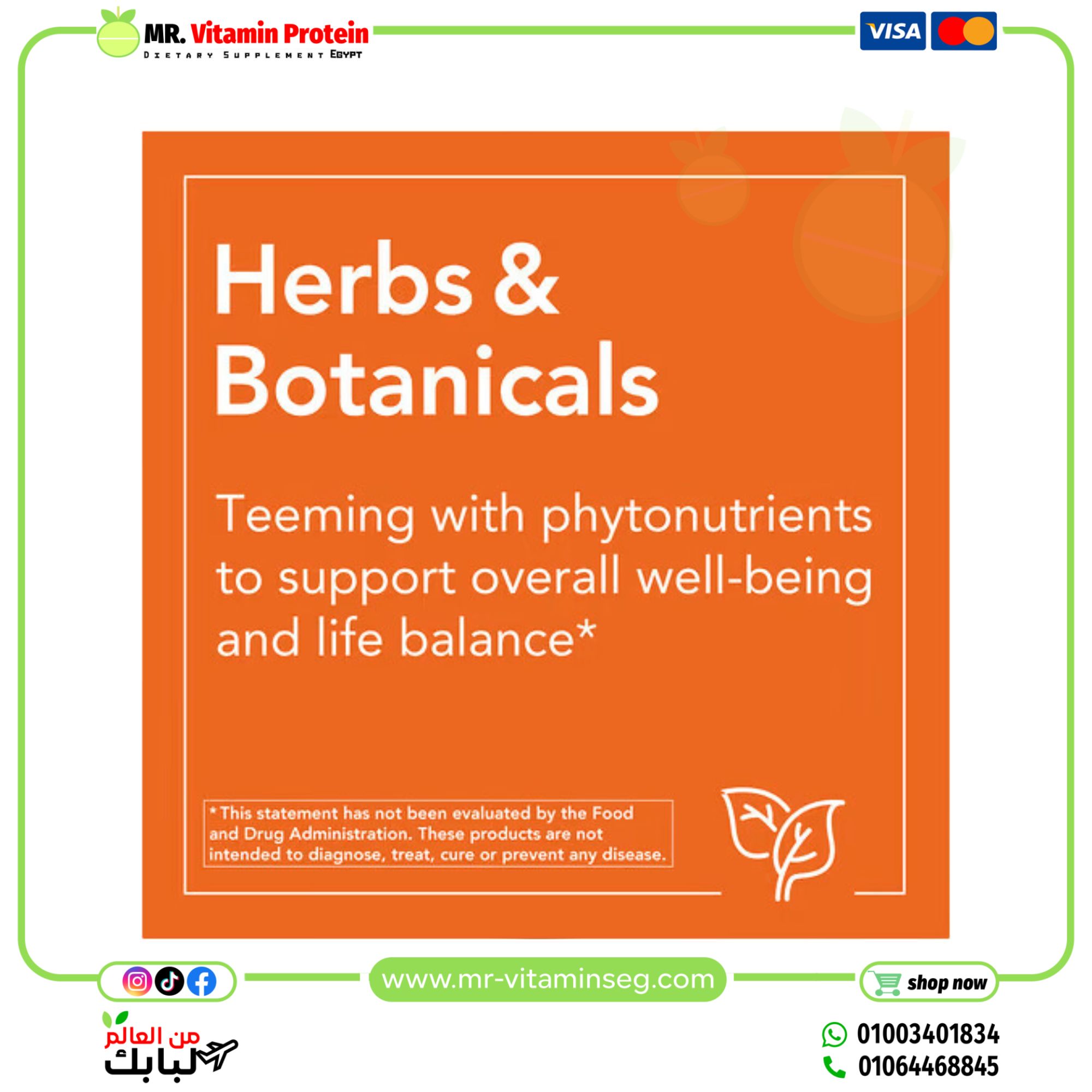 NOW Foods, Liquid Chlorophyll, Natural Mint , 16 fl oz (473 ml) - Image 4