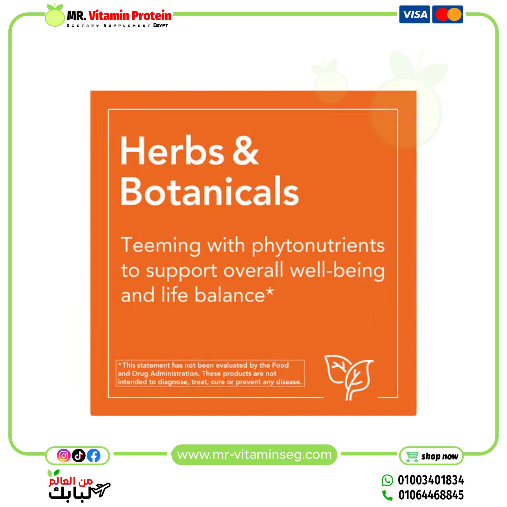 NOW Foods, Milk Thistle Extract, Double Strength, 300 mg, 100 Veg Capsules - Image 4