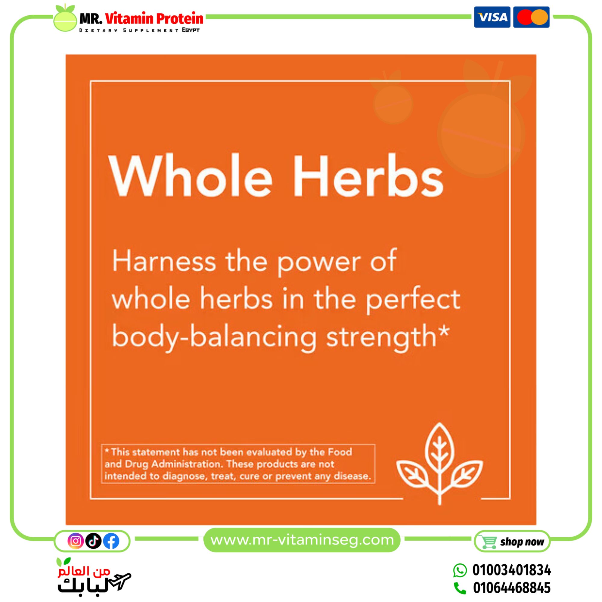 NOW Foods, Valerian Root, 500 mg, 100 Veg Capsules - Image 4