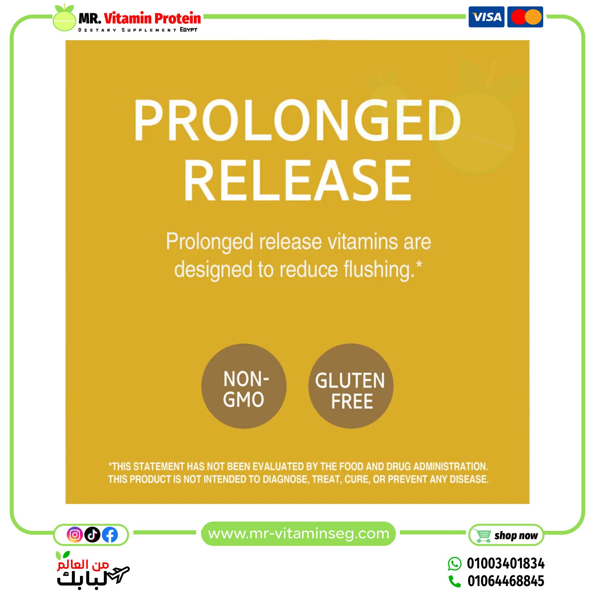 21st Century, Niacin, Prolonged Release, 500 mg, 100 Tablets - Image 7