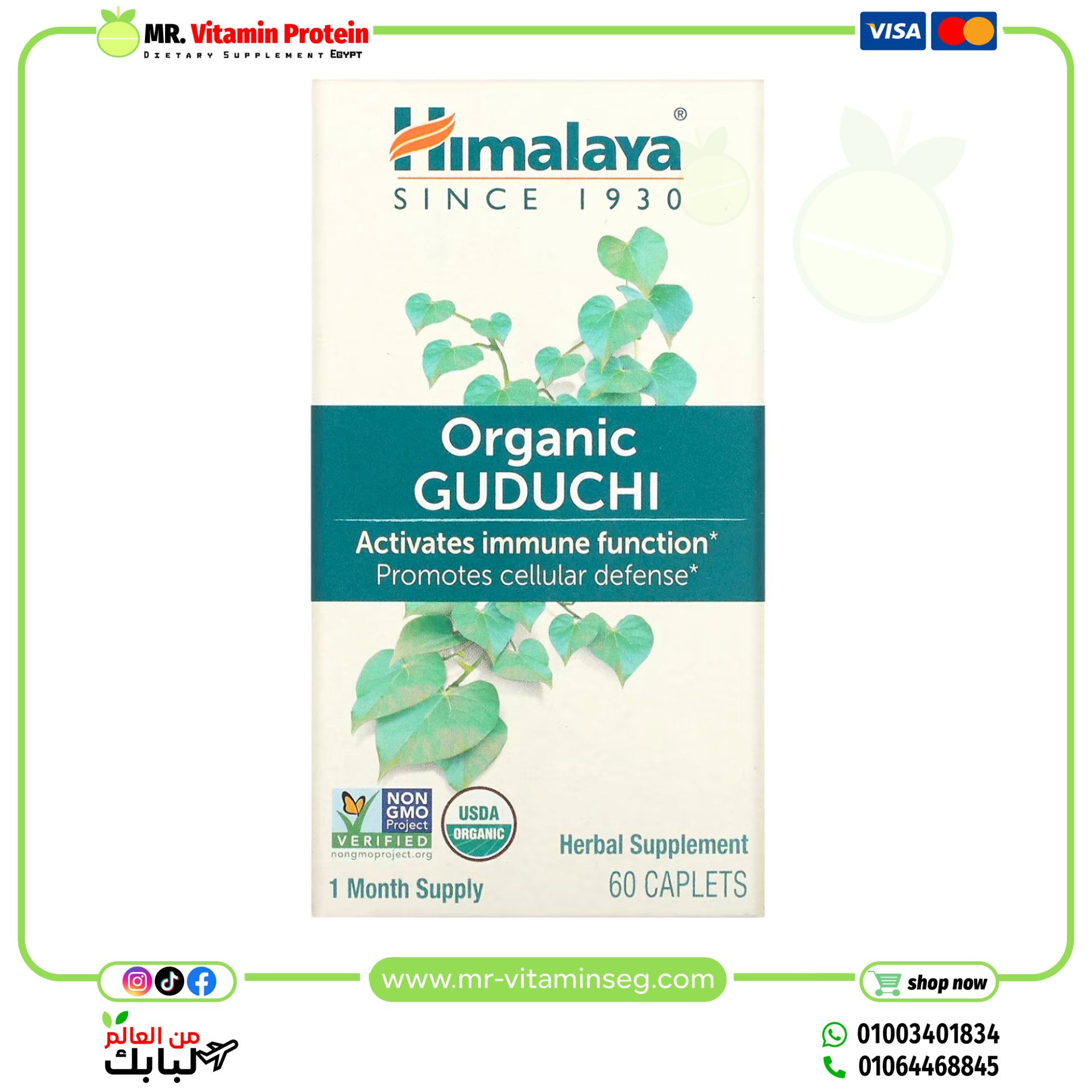 Himalaya, Organic Guduchi, 60 Caplets - Image 3