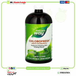 Nature's Way, Chlorofresh, Liquid Chlorophyll, Mint (480 ml)
