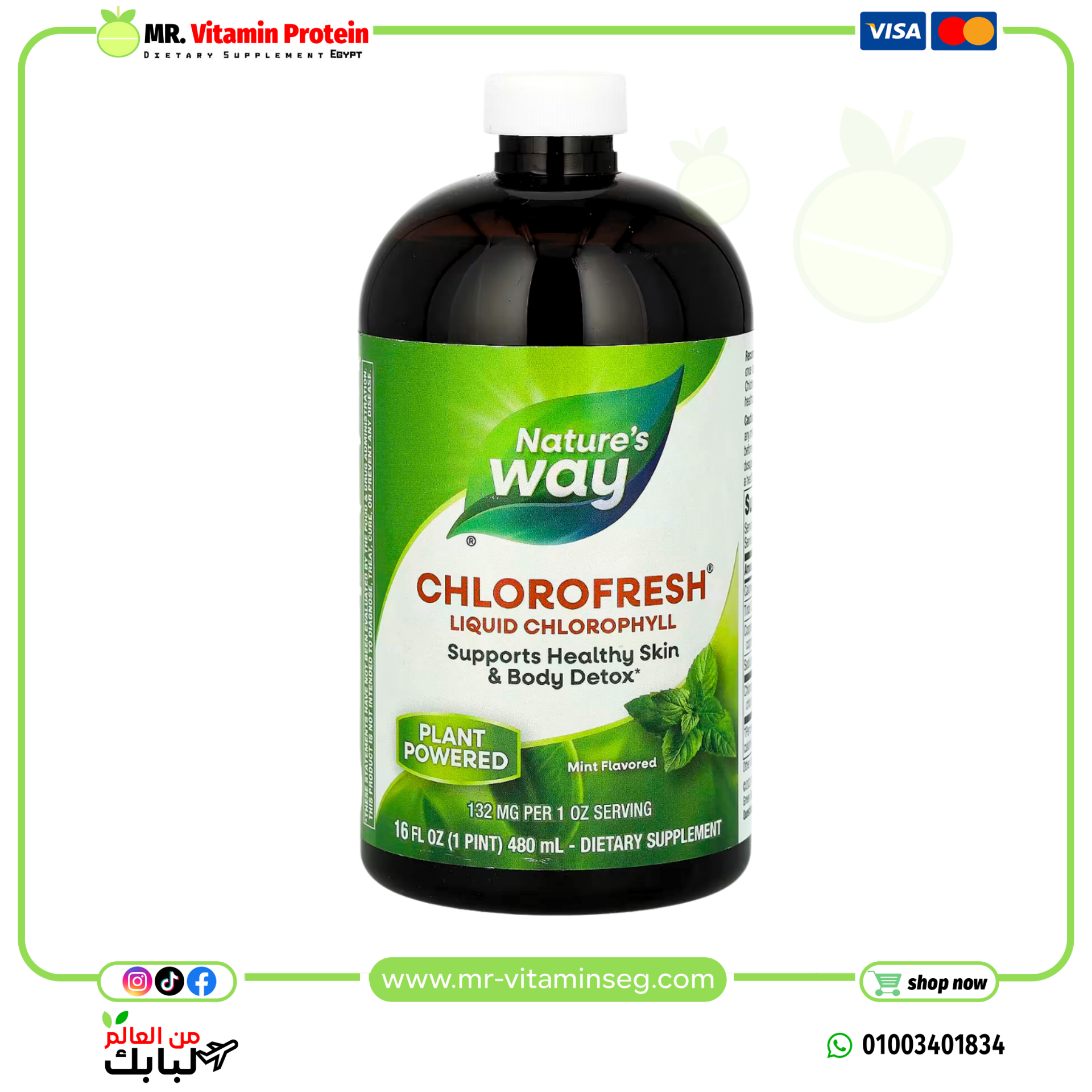 ناتشرز واي, Chlorofresh، كلوروفيل سائل، نعناع، (480 مل) /Nature's Way, Liquid Chlorophyll