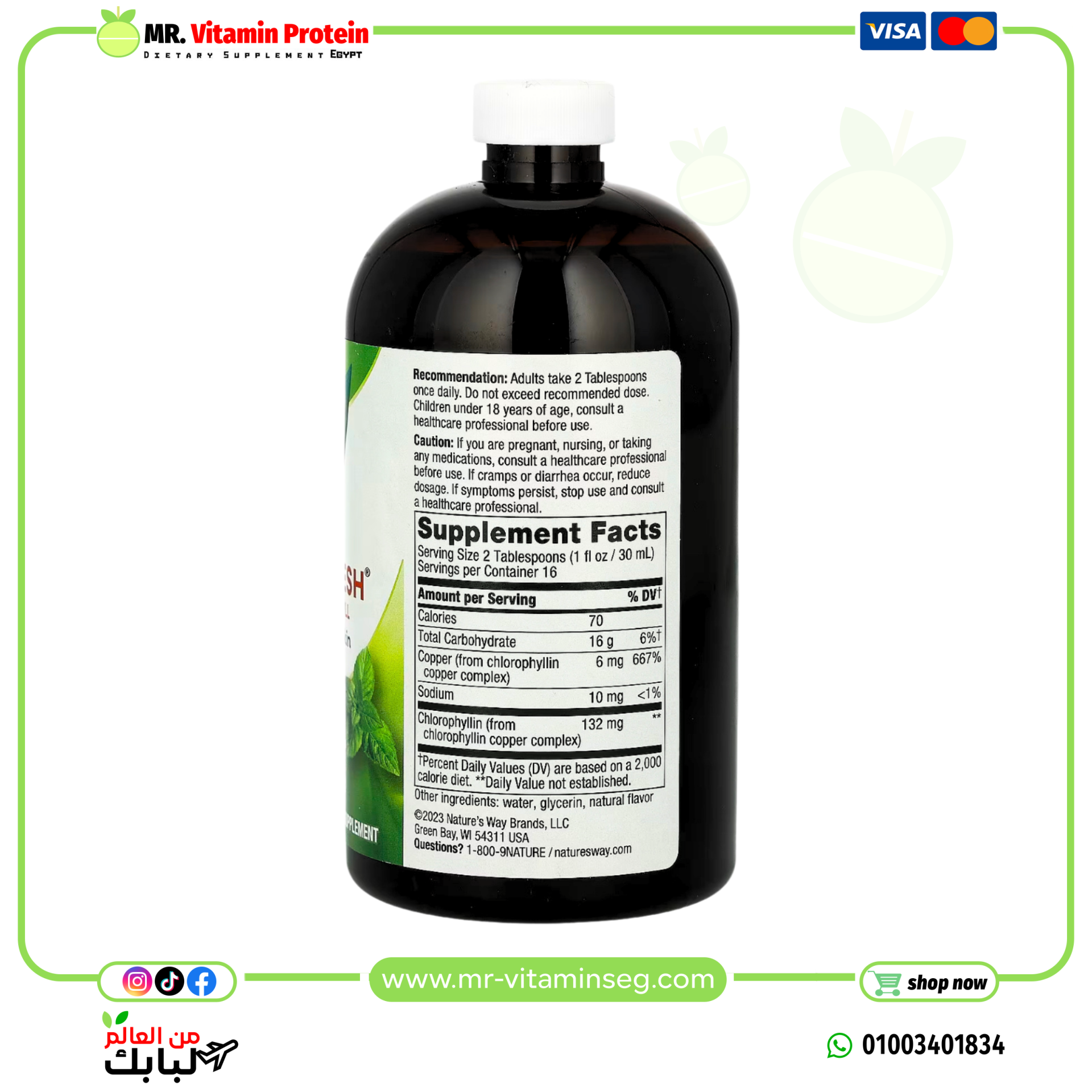 ناتشرز واي, Chlorofresh، كلوروفيل سائل، نعناع، (480 مل) /Nature's Way, Liquid Chlorophyll - الصورة 2