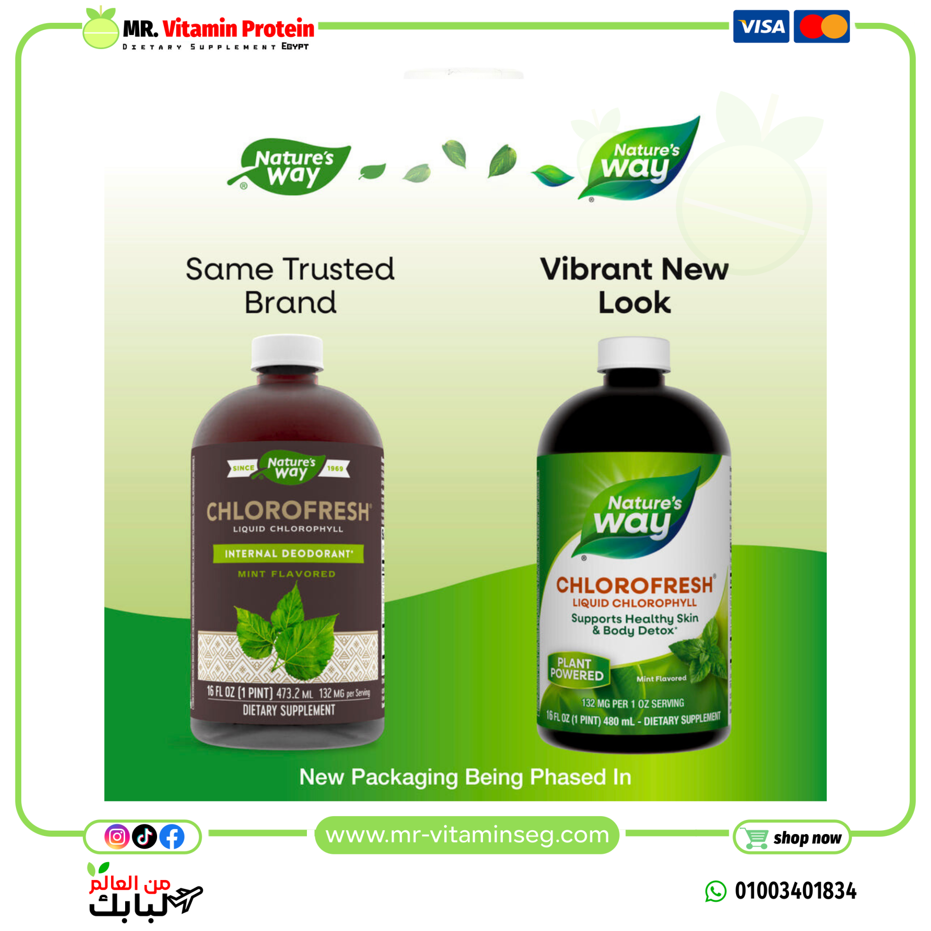 ناتشرز واي, Chlorofresh، كلوروفيل سائل، نعناع، (480 مل) /Nature's Way, Liquid Chlorophyll - الصورة 4