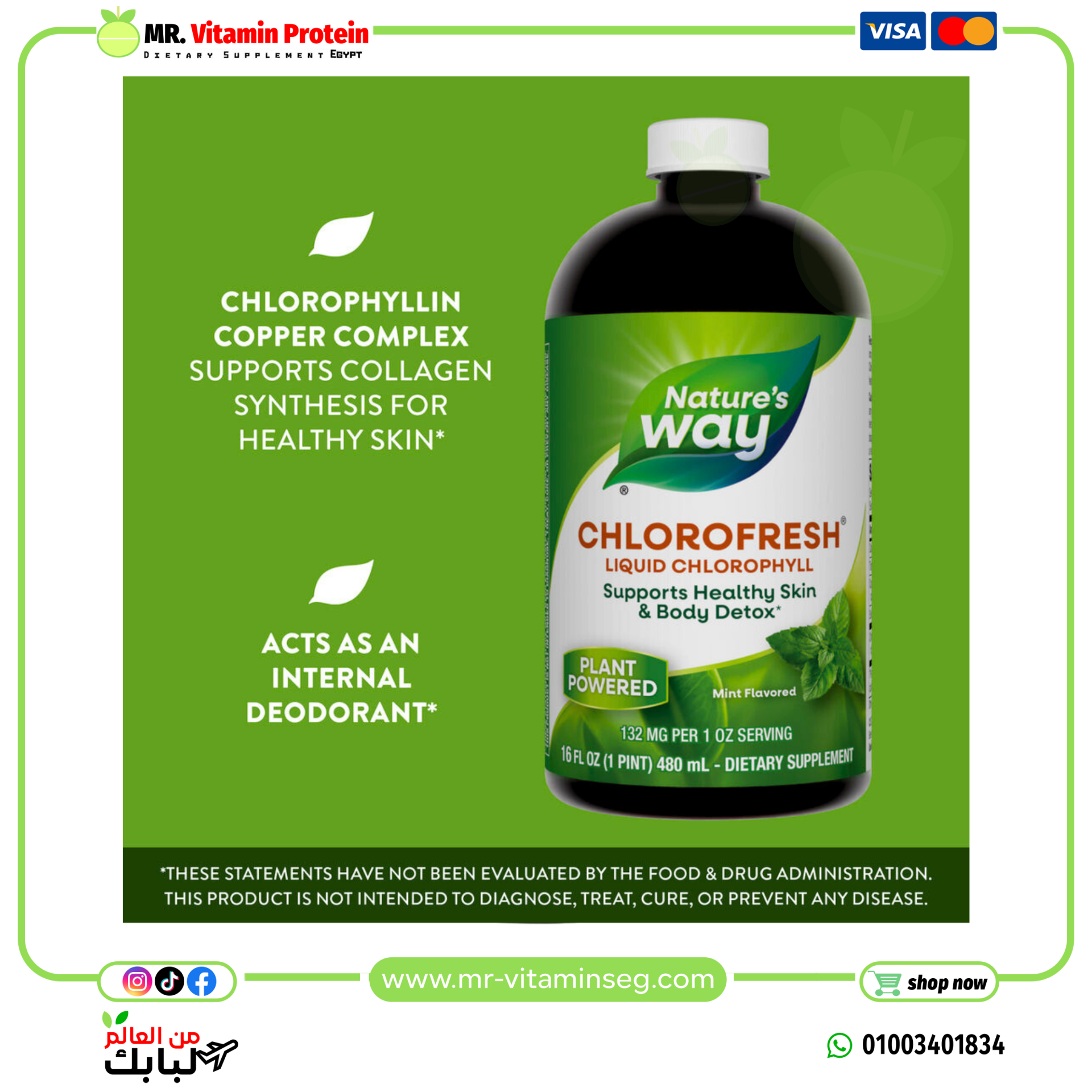 ناتشرز واي, Chlorofresh، كلوروفيل سائل، نعناع، (480 مل) /Nature's Way, Liquid Chlorophyll - الصورة 5