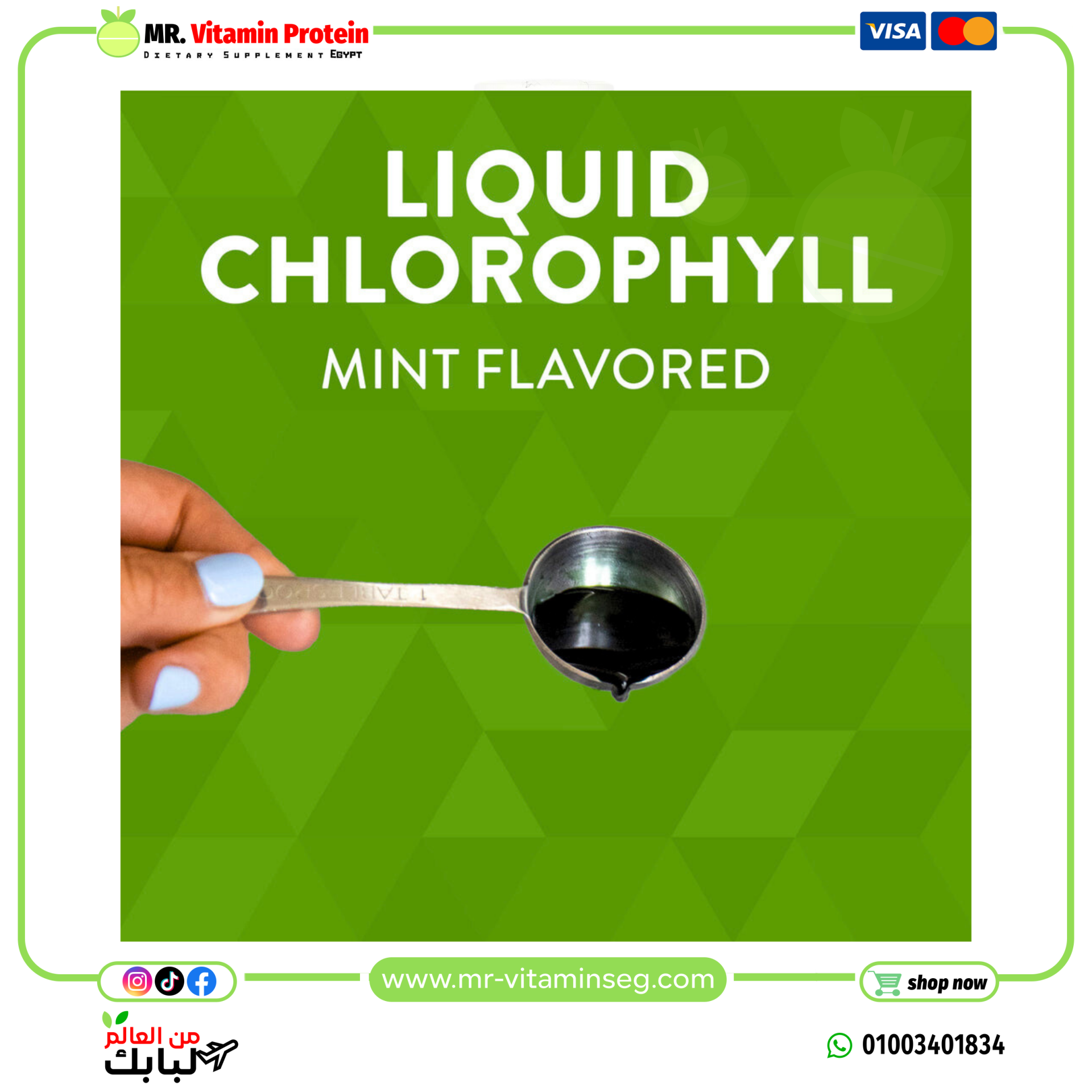 ناتشرز واي, Chlorofresh، كلوروفيل سائل، نعناع، (480 مل) /Nature's Way, Liquid Chlorophyll - الصورة 6