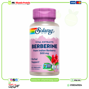 Solaray, Berberine, Vital Extracts, 500 mg, 60 VegCaps