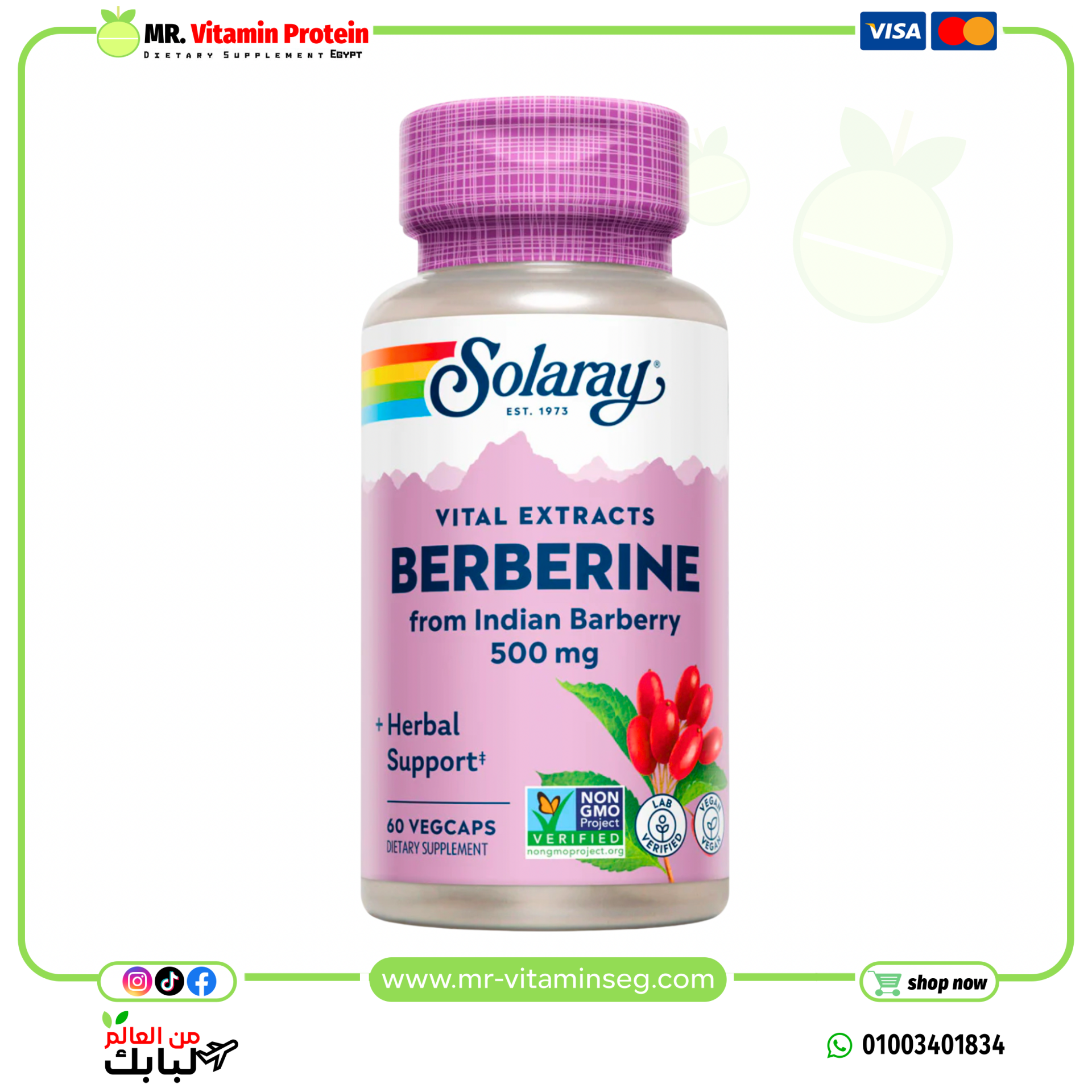 Solaray, Berberine, Vital Extracts, 500 mg, 60 VegCaps