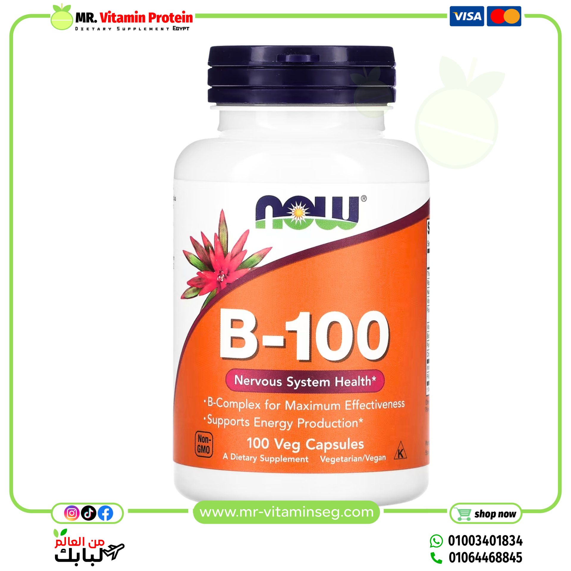 NOW Foods, B-100, 100 Veg Capsules