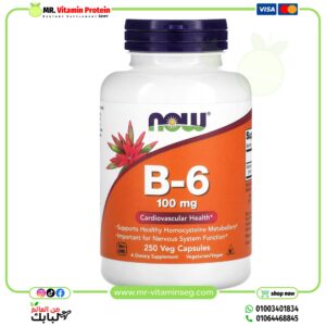NOW Foods, B-6, 100 mg, 250 Veg Capsules