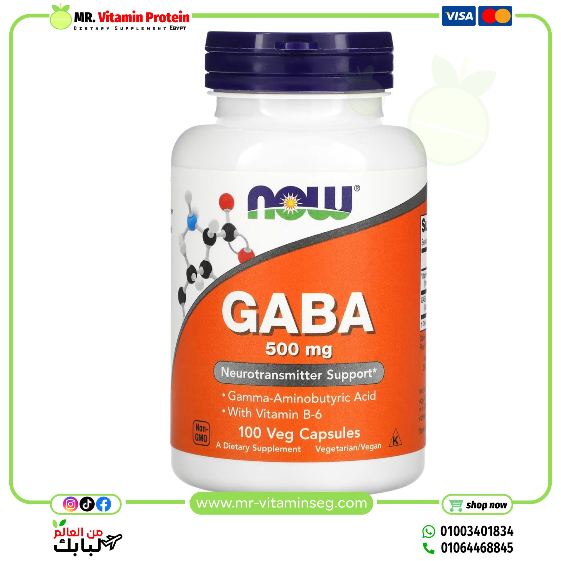 NOW Foods, GABA with Vitamin B-6, 500 mg, 100 Veg Capsules