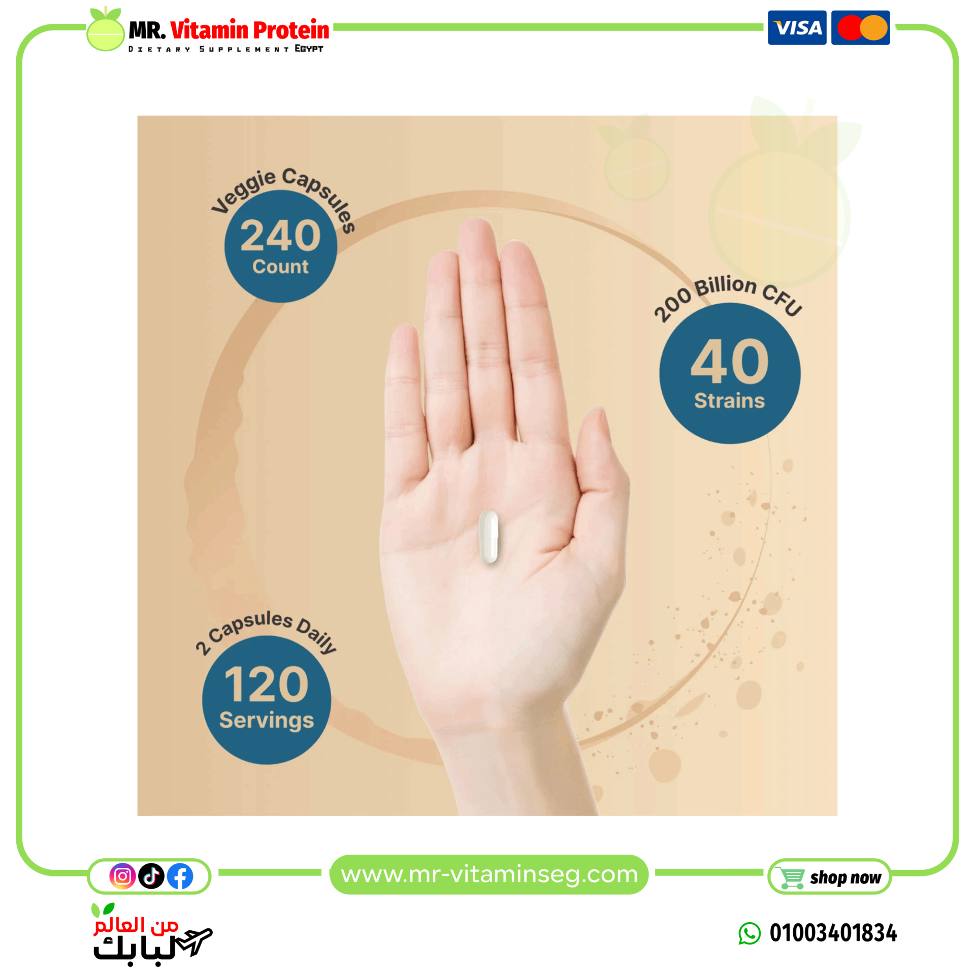 NatureBell Probiotics 200 Billion CFU Per Serving | 240 Veggie Capsules - Image 4