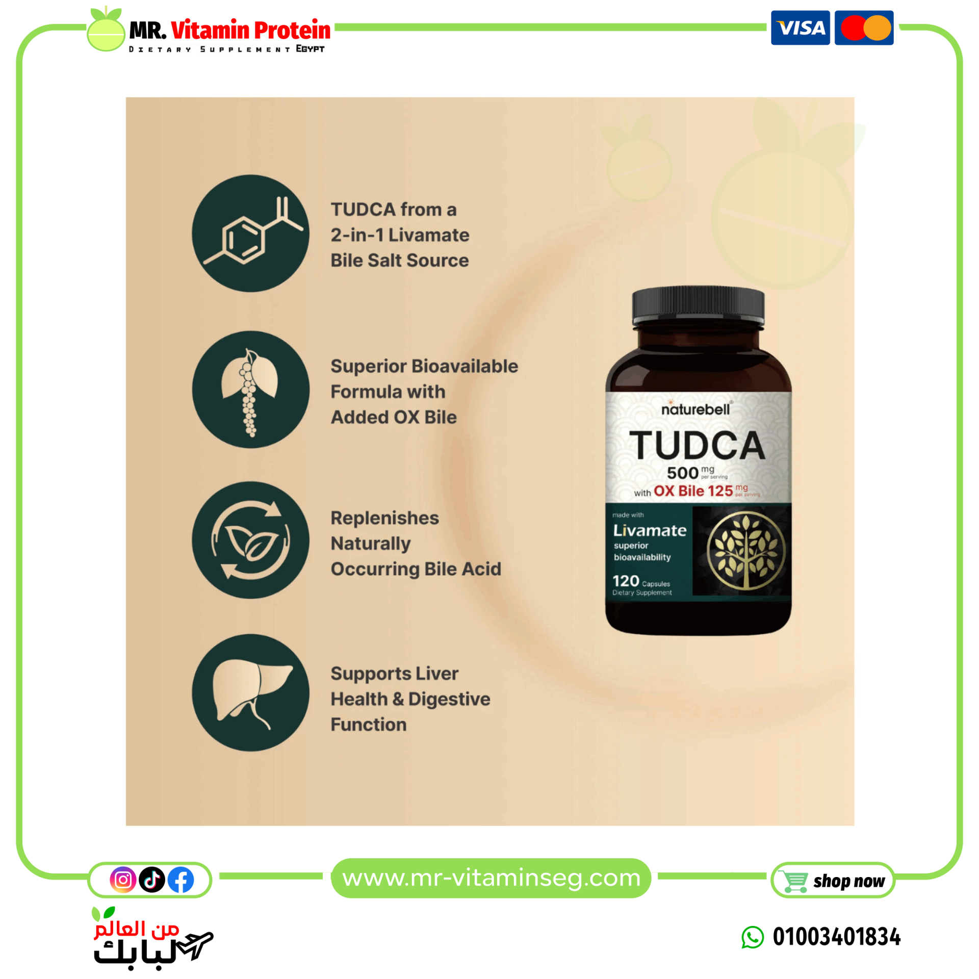 NatureBell,TUDCA 500mg with OX Bile 125mg Per Serving, 120 Capsules - Image 3
