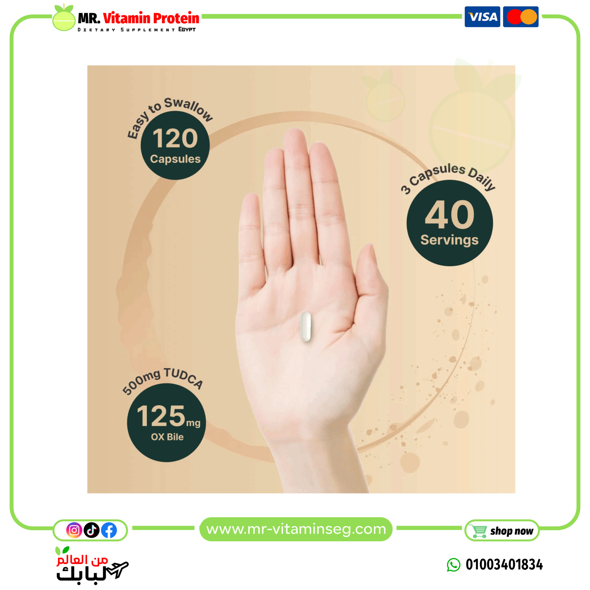 NatureBell,TUDCA 500mg with OX Bile 125mg Per Serving, 120 Capsules - Image 4