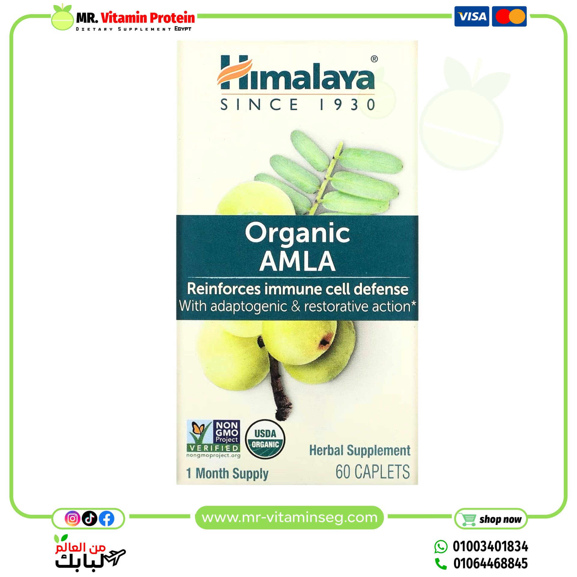 Himalaya, Organic Amla, 60 Caplets - Image 3