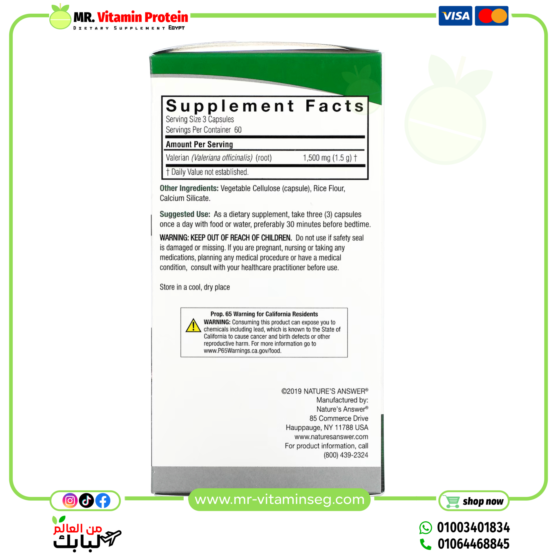 (English) Nature's Answer, Valerian Root, 1,500 mg, 180 Vegetarian Capsules (500 mg per Capsule) - الصورة 2