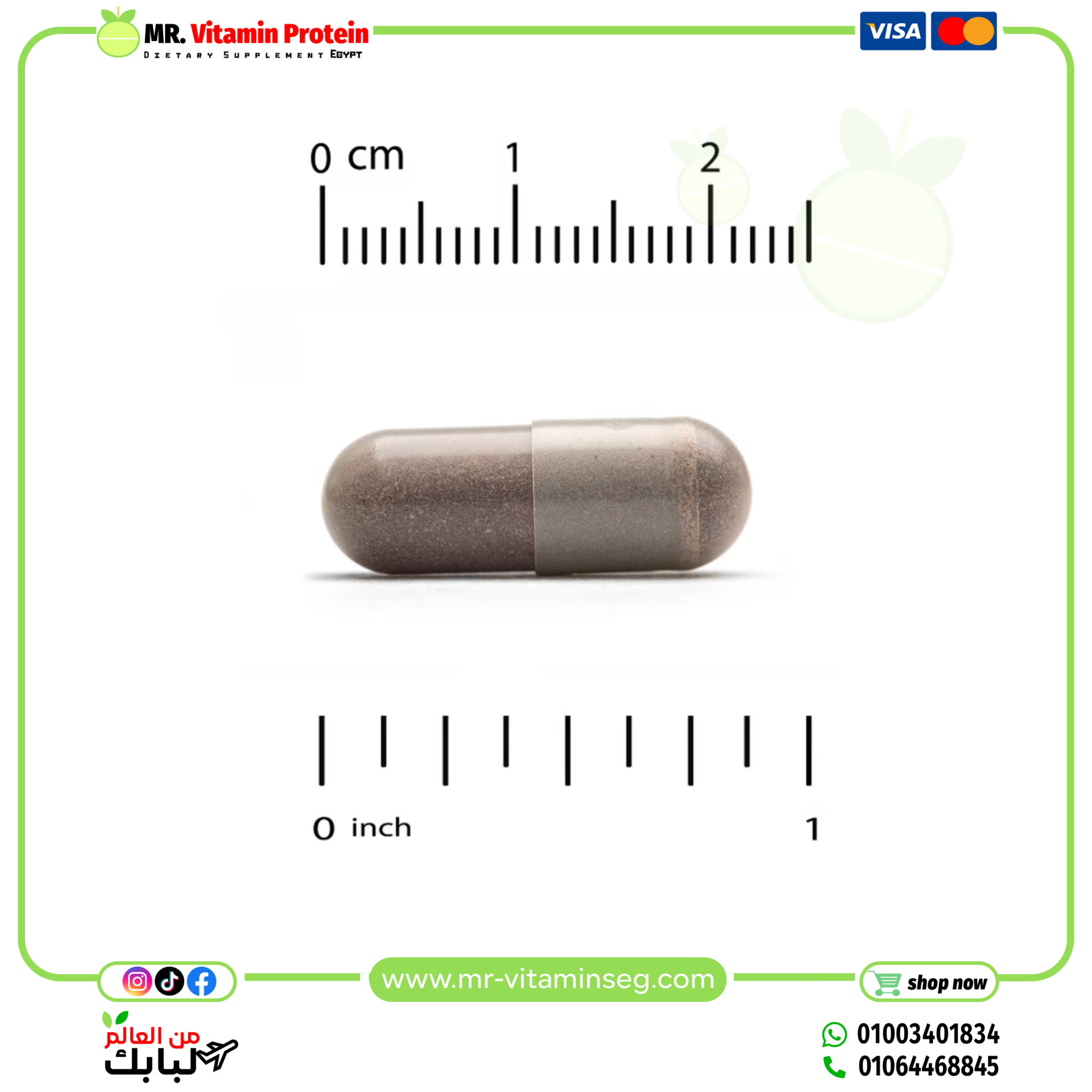 Lake Avenue Nutrition, Bee Propolis, 1,000 mg, 90 Capsules - Image 4