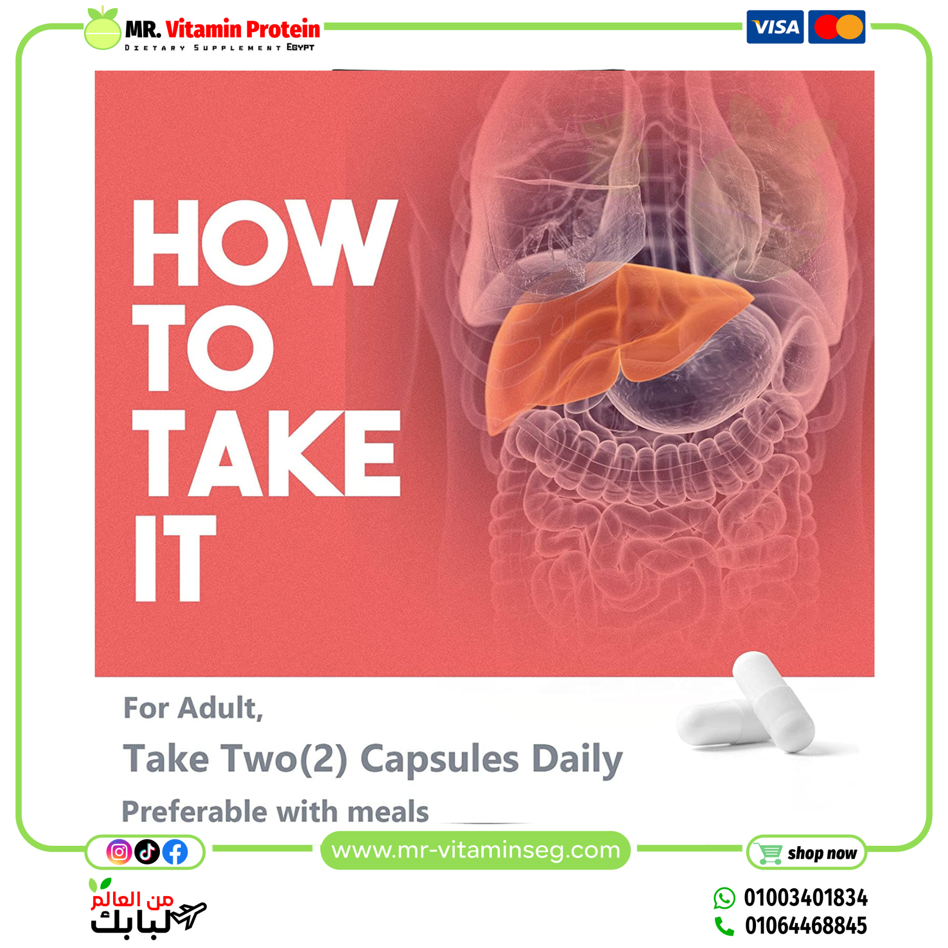 koNefancy ADVANED TUDCA 1000 mg , 60capsules - Image 4