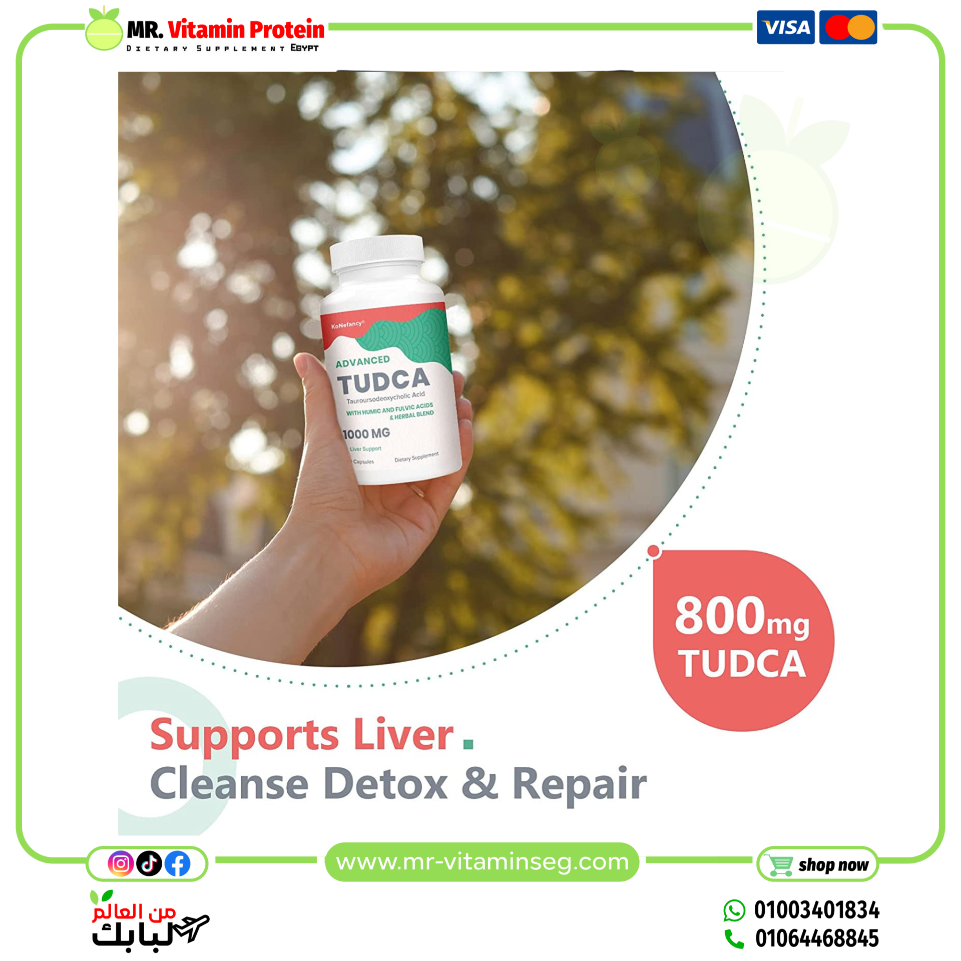 koNefancy ADVANED TUDCA 1000 mg , 60capsules - Image 6