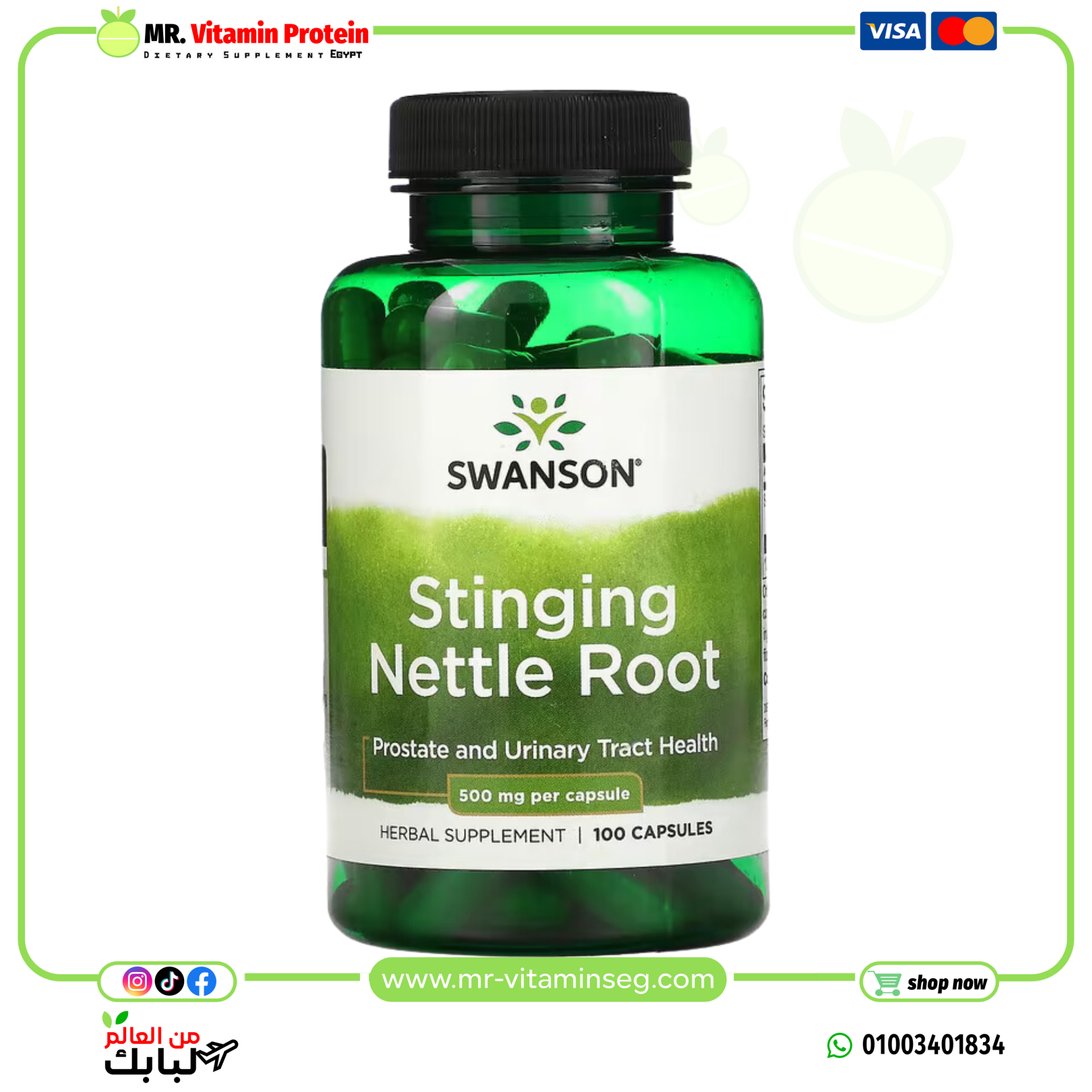 Swanson, Stinging Nettle Root, 500 mg, 100 Capsules