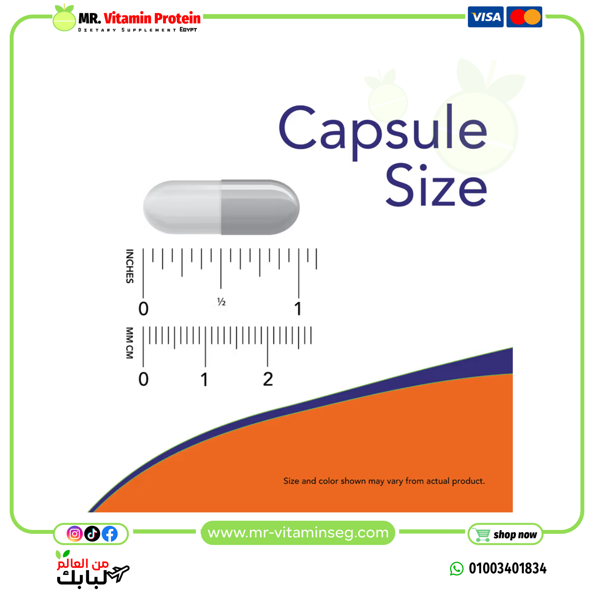NOW Foods, Cranberry Caps, 100 Veg Capsules - Image 3