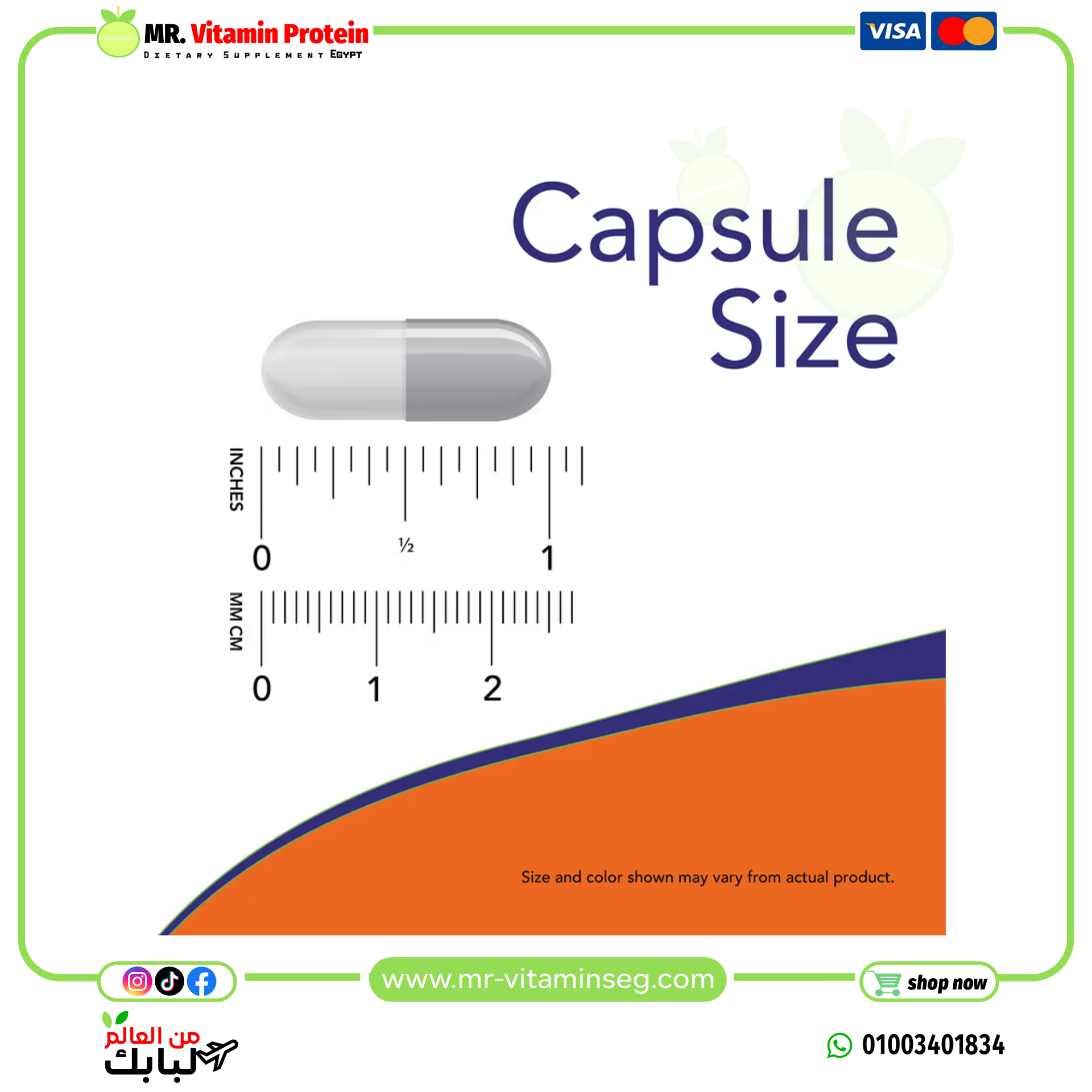 NOW Foods, Graviola, 500 mg, 100 Veg Capsules - Image 3