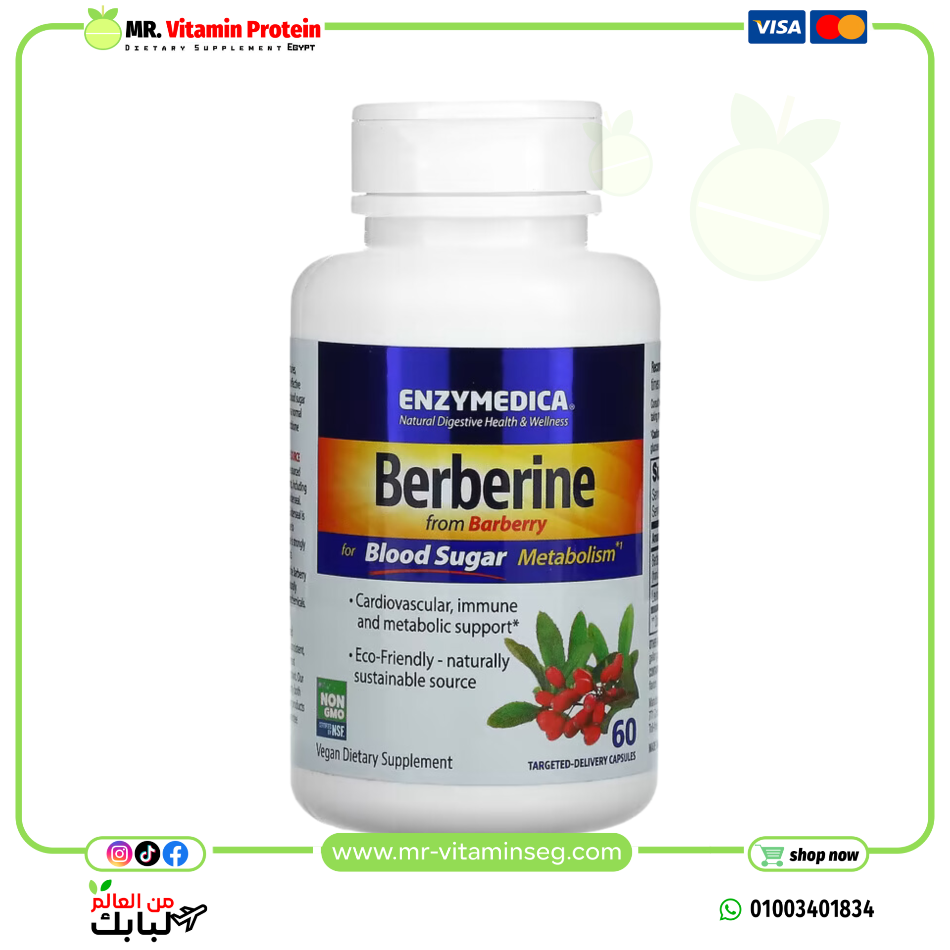 Enzymedica, Berberine for Blood Sugar Metabolism, 60 Targeted-Delivery Capsules - Image 3