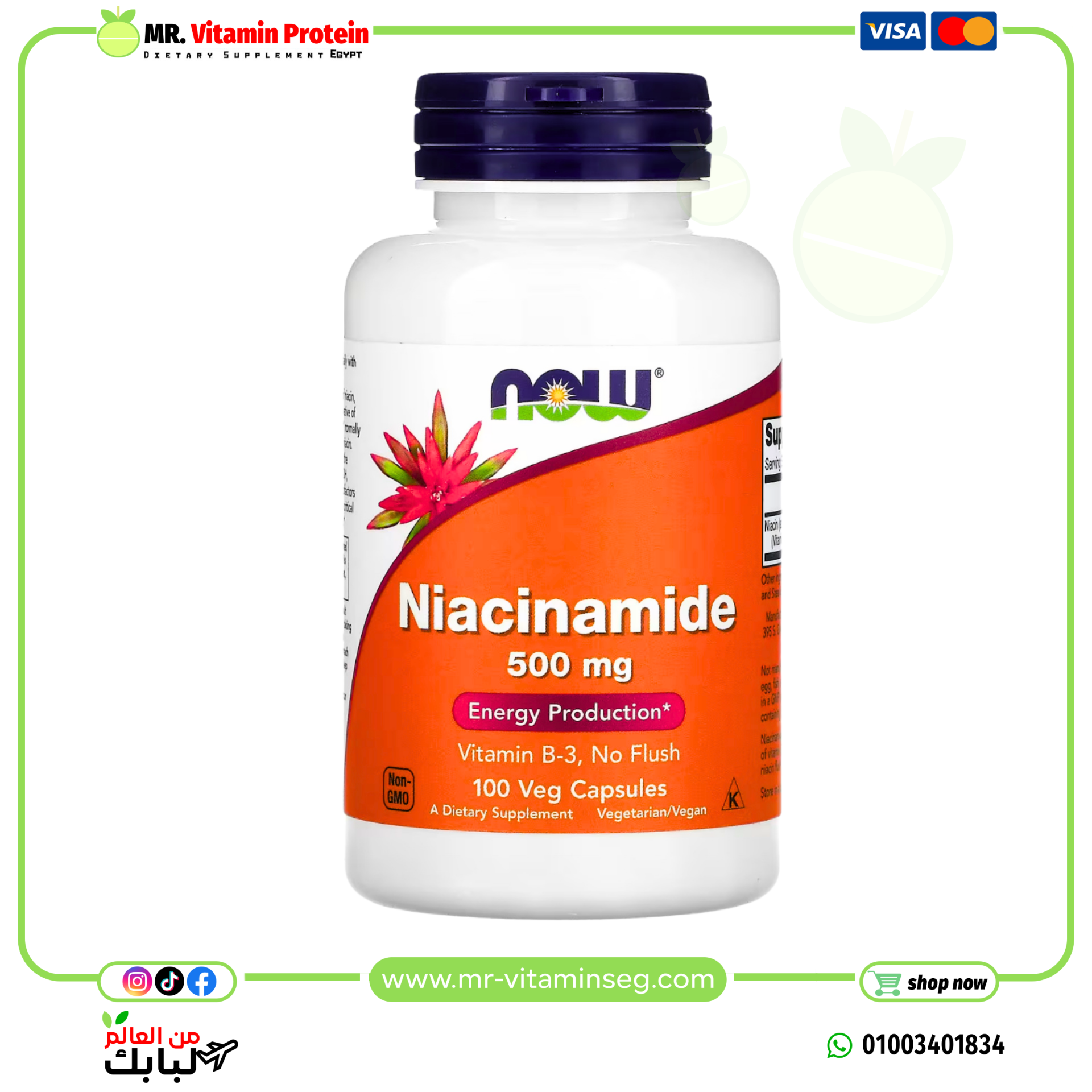 Now Foods, Niacinamide, 500 mg, 100 veg capsules
