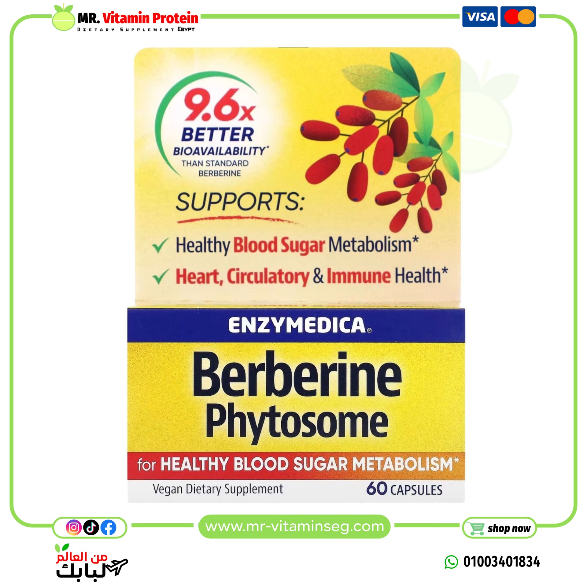 إنزيميديكا, فيتوسوم البربرين، 60 كبسولة / Enzymedica, Berberine Phytosome, 60 Capsules