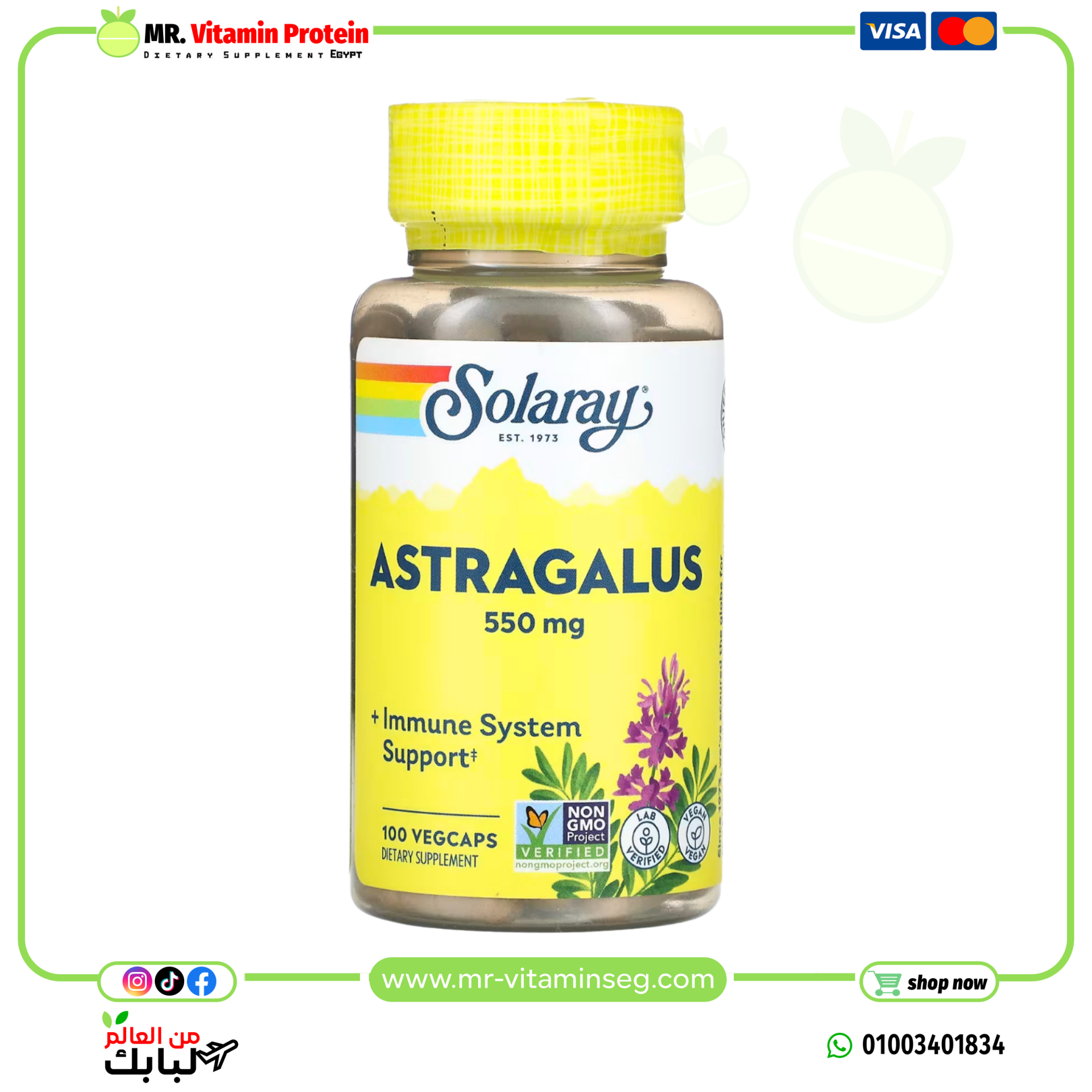 Solaray, Organic Astragalus, 550 mg, 100 veg capsules