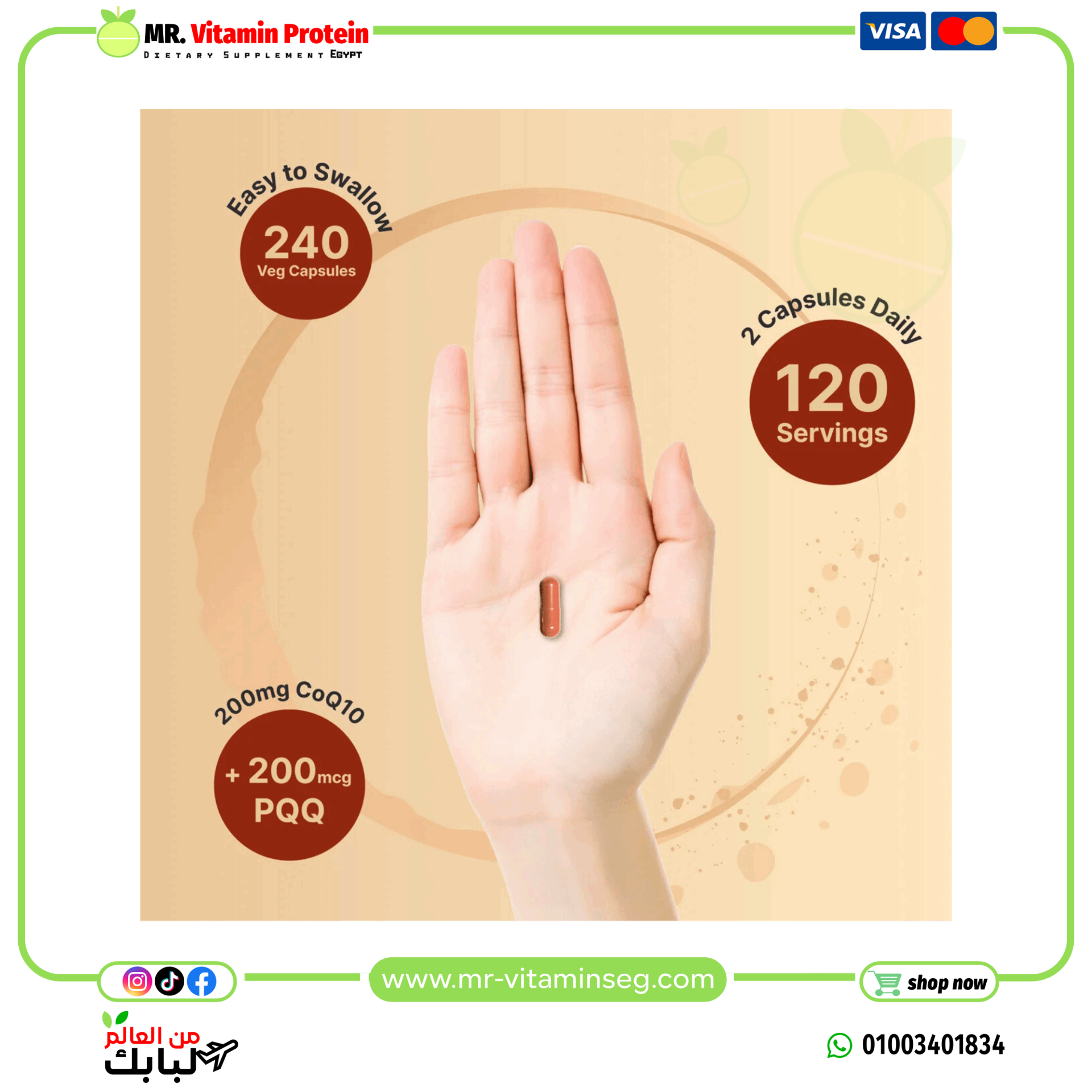 NatureBell, CoQ10 (Ubiquinone) 200mg with PQQ, 240 Veggie Capsules - Image 4