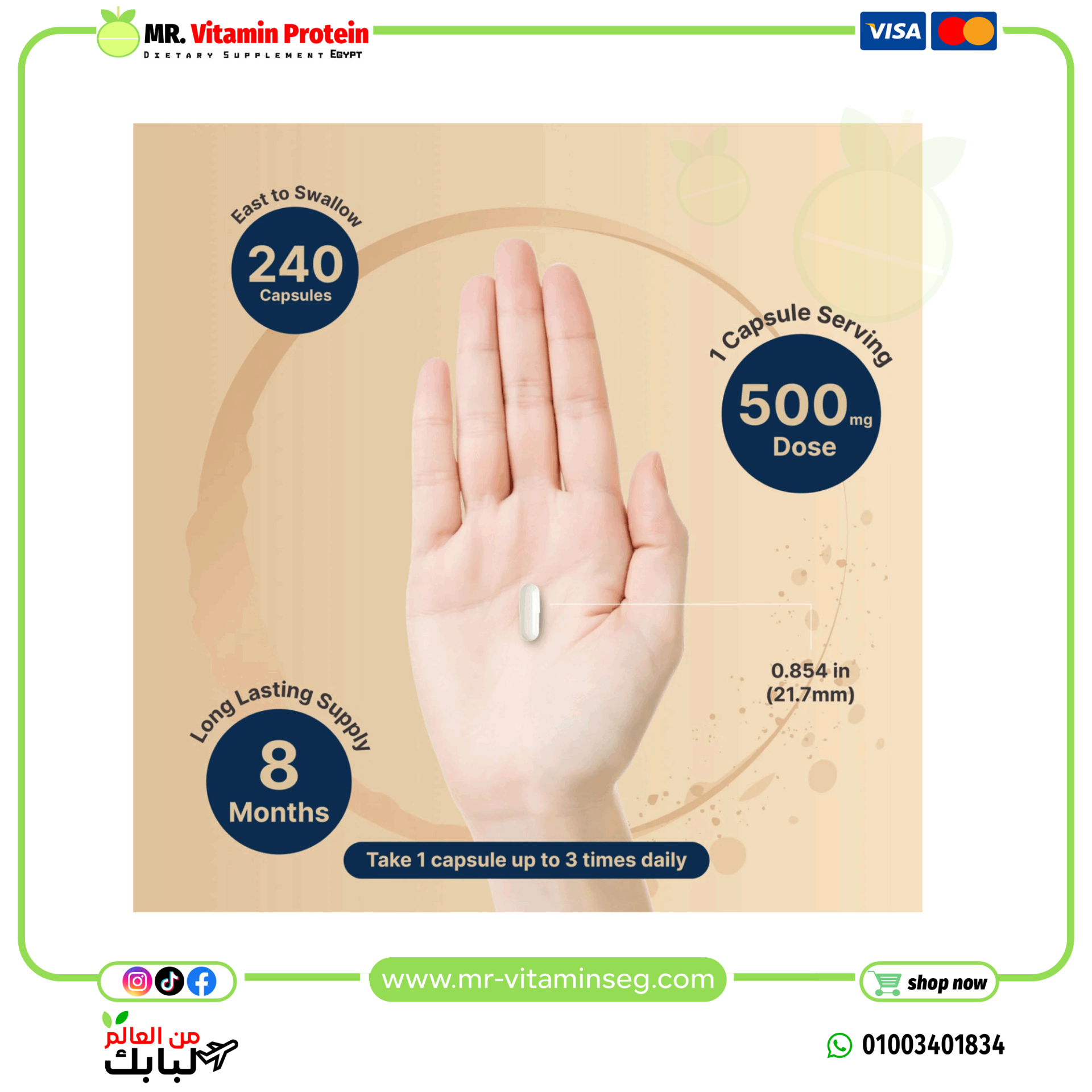 ناتشربيل، مغنيسيوم جليسينات 500 ملغ – 240 كبسولة / Naturebell, Magnesium Glycinate 500mg, 240 Capsules - الصورة 4