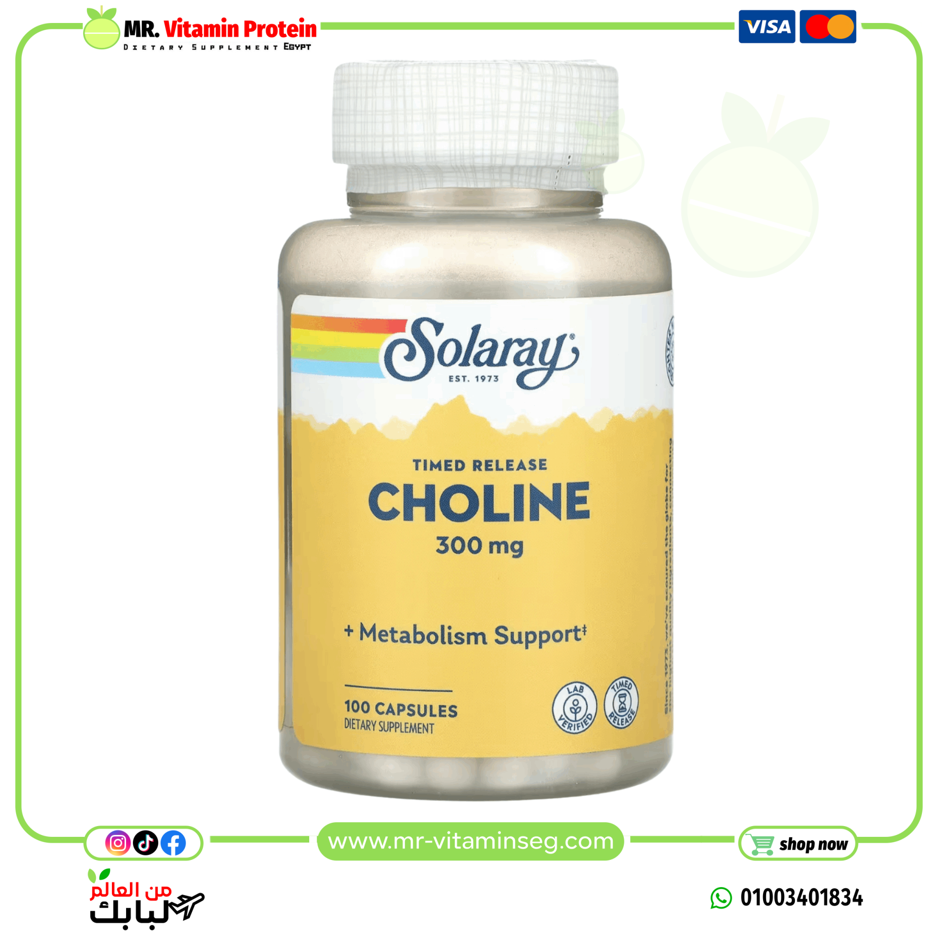 Solaray, Timed Release, Choline, 300 mg , 100 Capsules